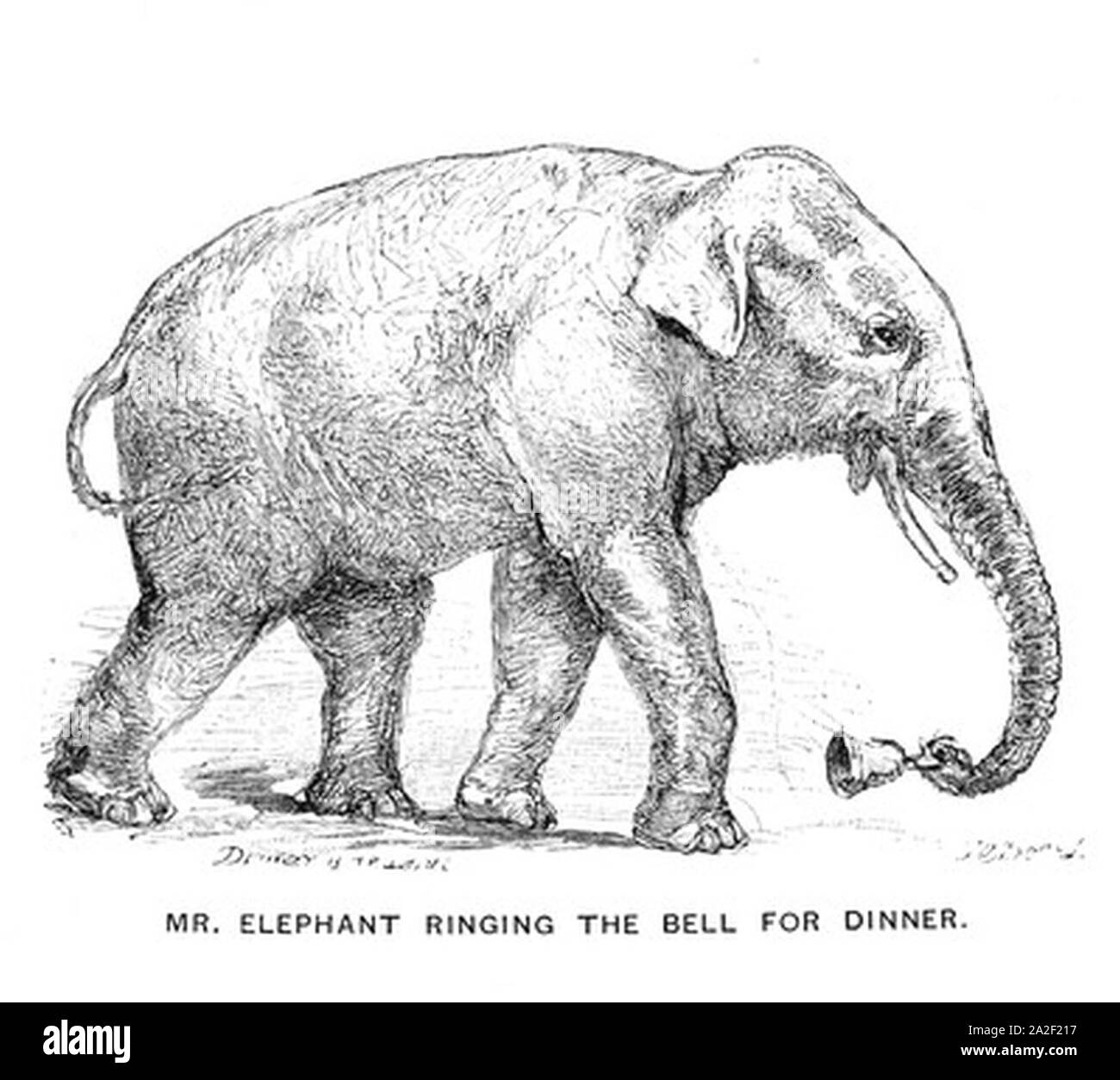 Elephant Drawing (1). Stock Photo