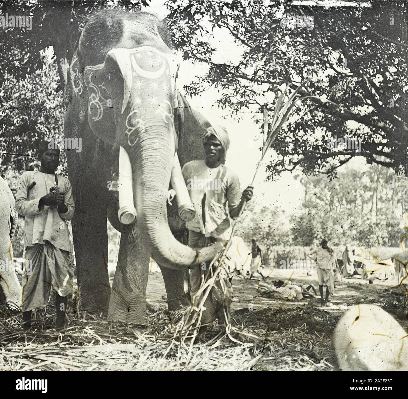 Painted Wooden Elephant From Orissa - Ca 1920 Painted Wooden Elephant From Orissa - Ca 1920