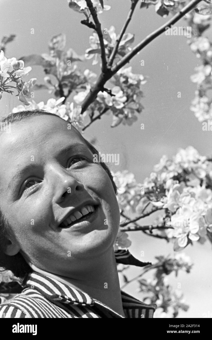 Eine junge Frau unter einem blühenden Kirschbaum im Schwarzwald, Deutschland 1930er Jahre. A young woman under a blooming cherry tree in the Black Forest, Germany 1930s. Stock Photo