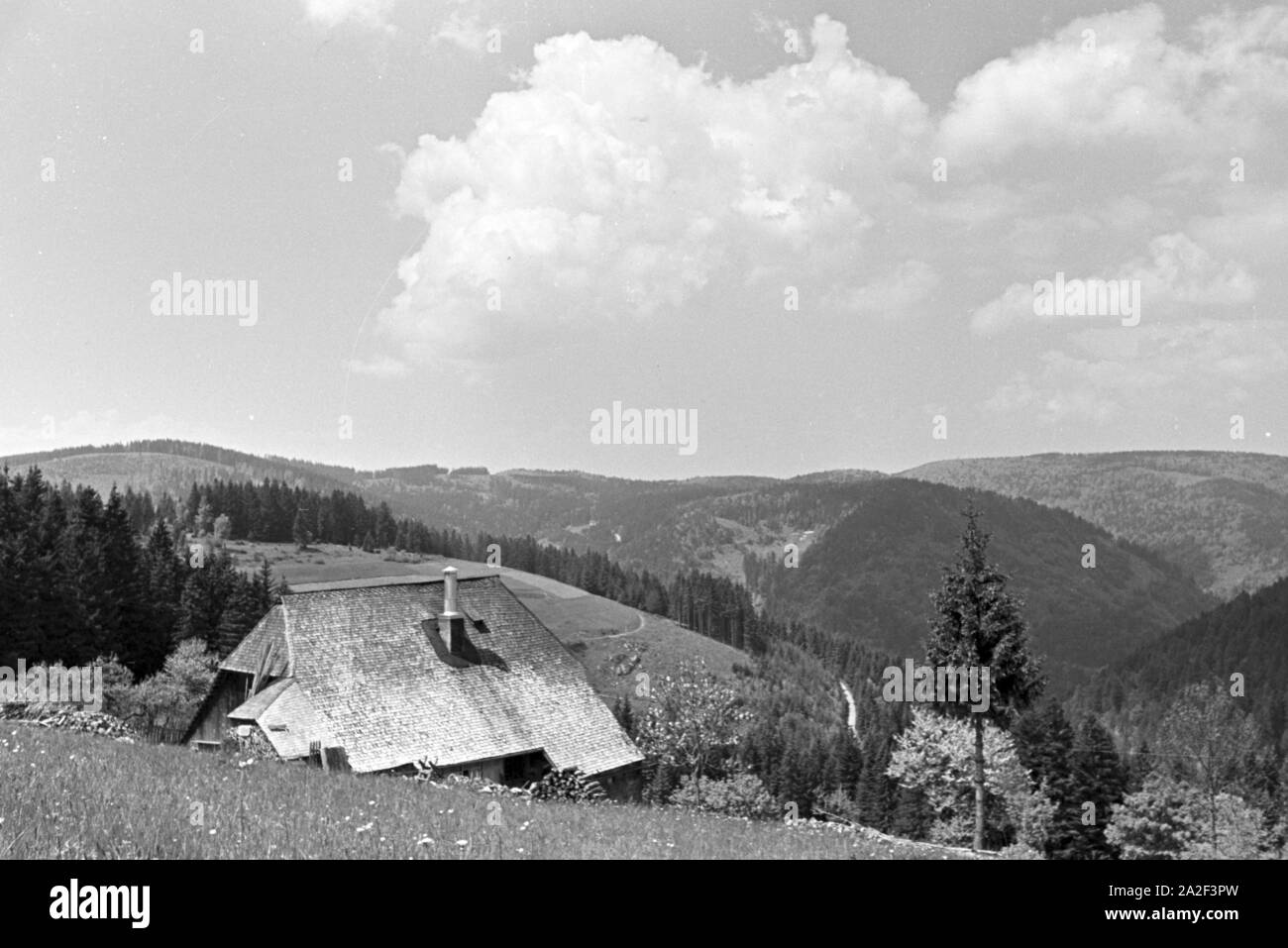 Idyllisches Schwarzwaldpanorama, Deutschland 1930er Jahre. Idyllic panoramic view of the Black Forest, Germany 1930s. Stock Photo