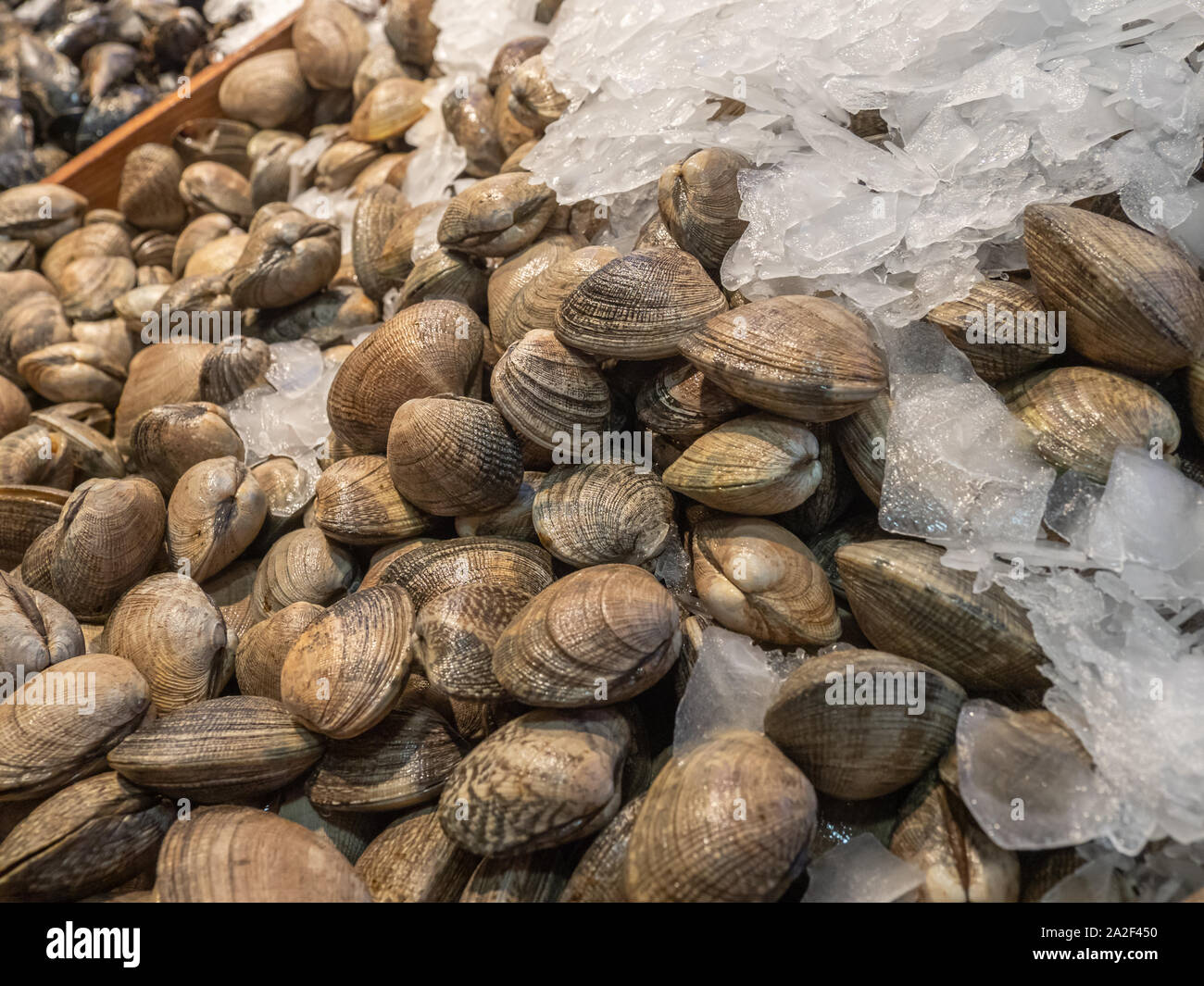 Clams detail hires stock photography and images Alamy