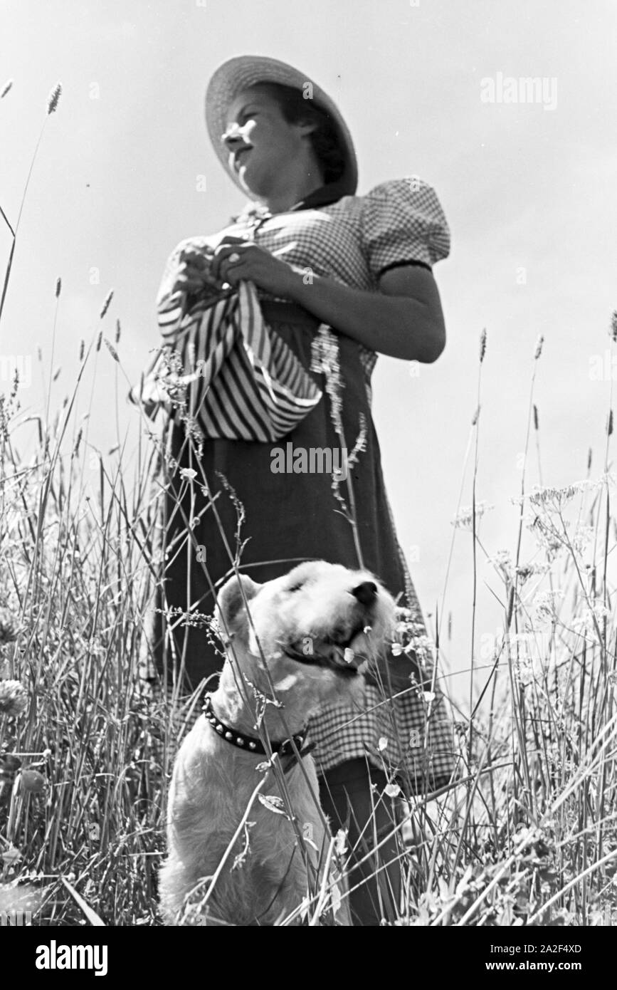 Frau mit six hund Woman with
