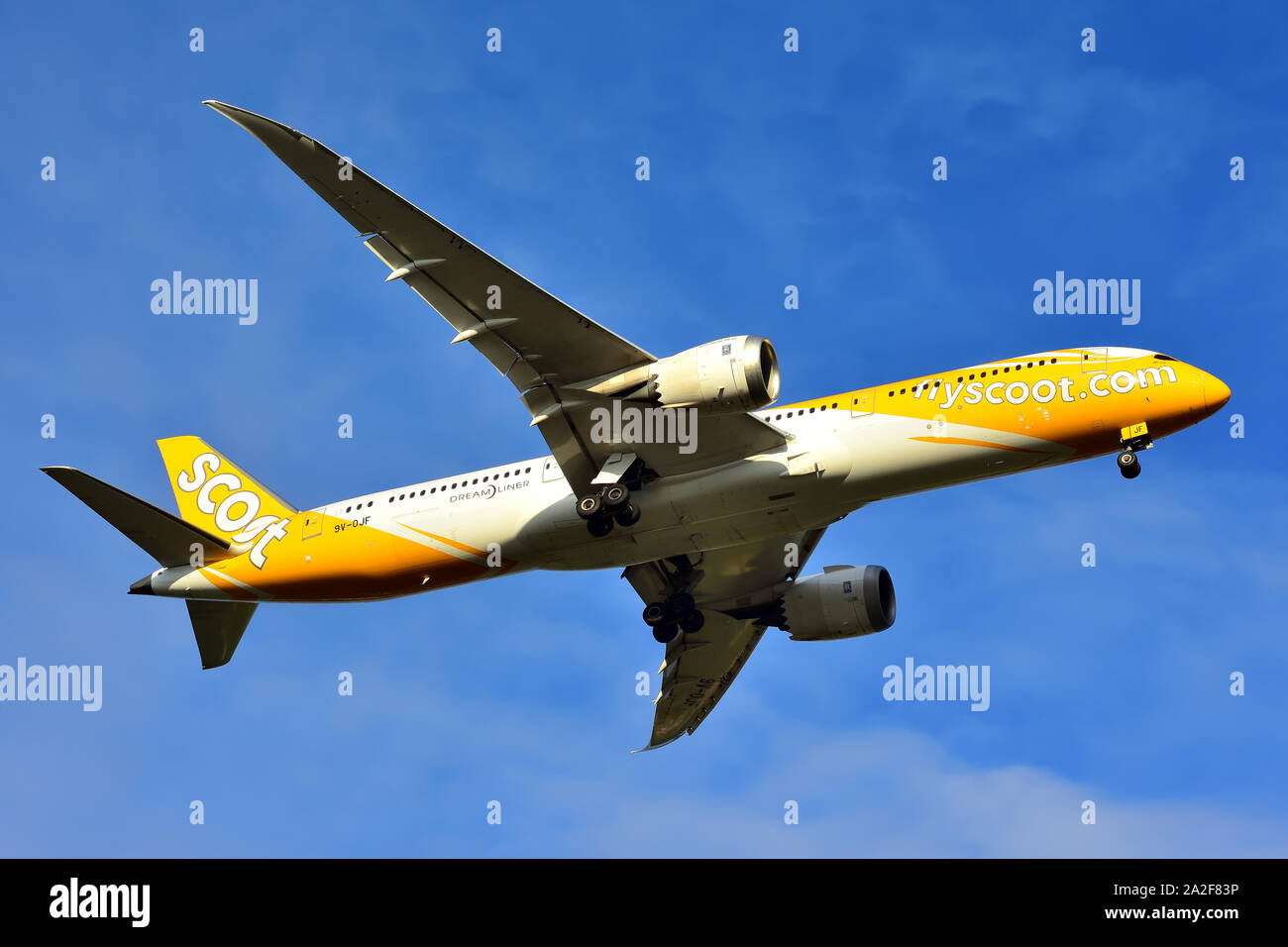 Boeing 787-9 Dreamliner 9V-OJF of Scoot Airlines, on approach to Perth Airport, Western Australia Stock Photo