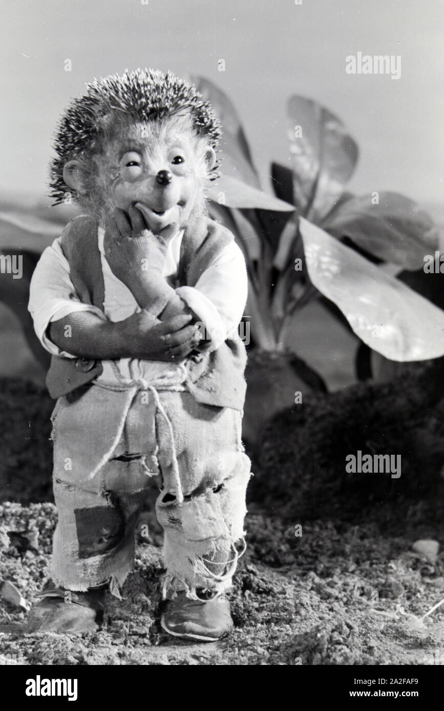 Mecki igel hi-res stock photography and images - Alamy