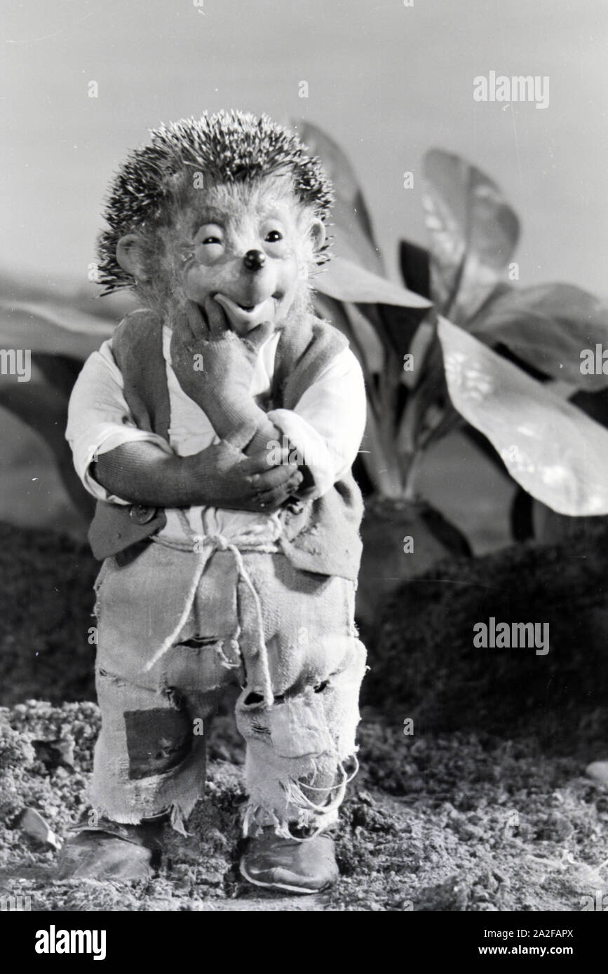 Filmaufnahmen auf dem Set vom Puppenfilm Der Wettlauf zwischen dem Hasen  und dem Igel mit der Figur Mecki, unter der Produktion und Leitung der  Gebrüder Diehl, Deutschland 1930er Jahre. Shooting on the
