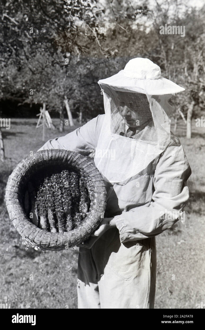 Ein Imker in Schutzkleidung zeigt eine Wabe mit einem Bienenvolk, Deutschland 1930er Jahre. A bee keeper in protective clothing presenting a honeycomb with a bee population, Germany 1930s. Stock Photo