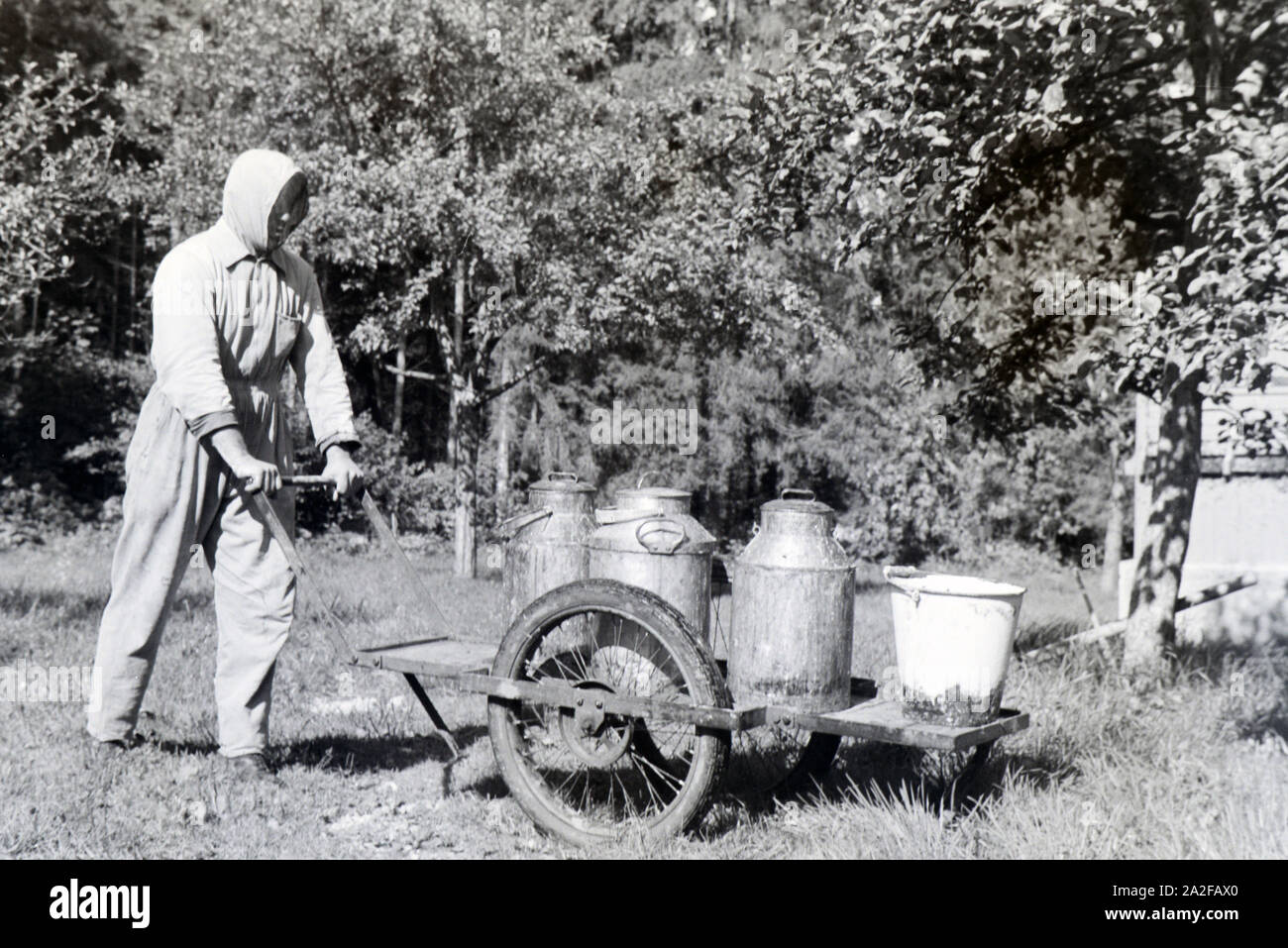 Ein Imker im Schutzanzug transportiert mehrere Honigkübel auf einer Schubkarre, Deutschland 1930er Jahre. A bee keeper in protective clothing transporting ceveral honey bucktes on a wheel barrow, Germany 1930s. Stock Photo
