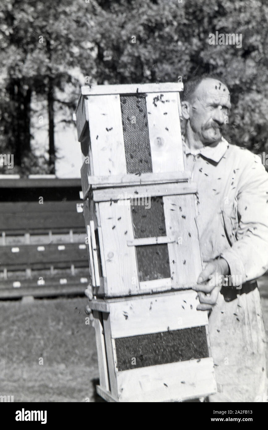Ein Imker trägt mehrere Bienenstöcke aus einem großen Bienenhaus, Deutschland 1930er Jahre. A bee keeper carrying ceveral bee hives from a big bee house, Germany 1930s. Stock Photo