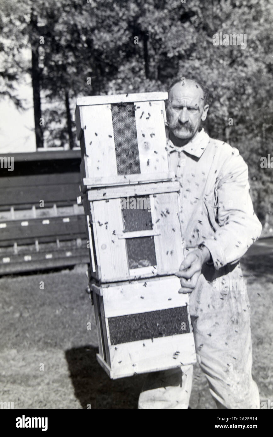 Ein Imker trägt mehrere Bienenstöcke aus einem großen Bienenhaus, Deutschland 1930er Jahre. A bee keeper carrying ceveral bee hives from a big bee house, Germany 1930s. Stock Photo