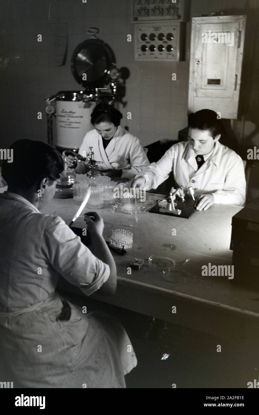 Laboranten untersuchen eingesammeltes Bienengift mithilfe von