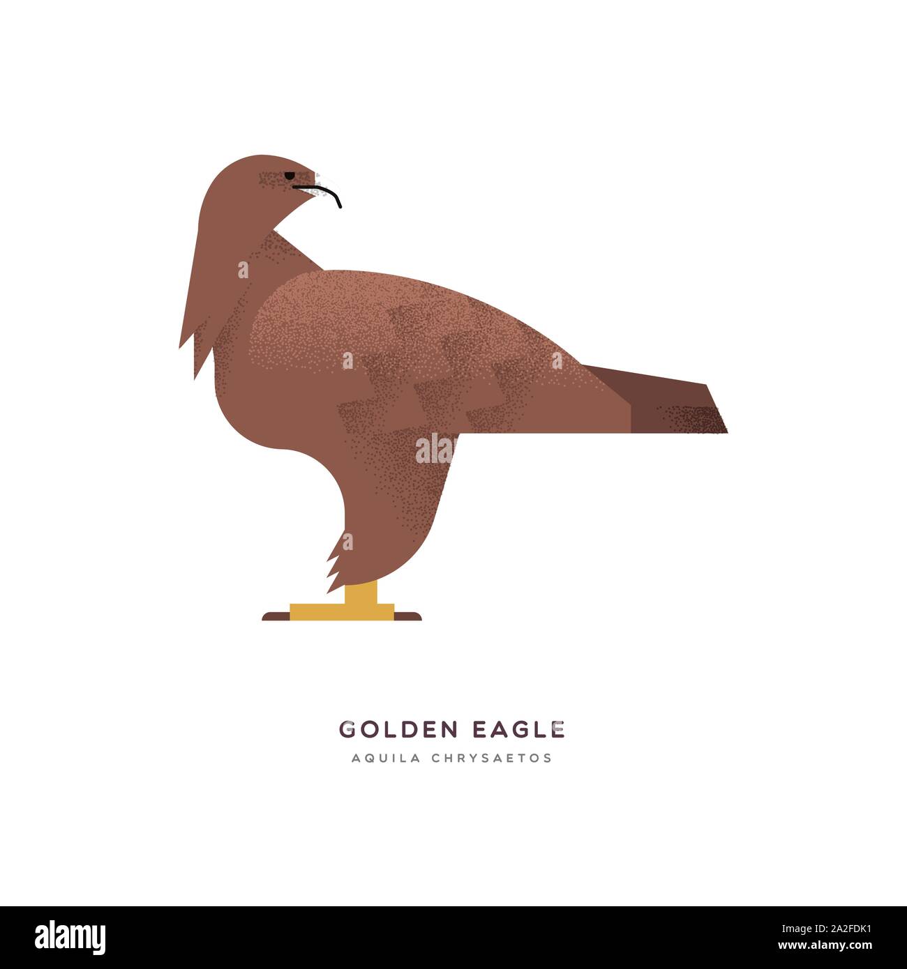 Golden eagle illustration on isolated white background, south america zoo bird animal concept. Educational wildlife design with fauna species name lab Stock Vector