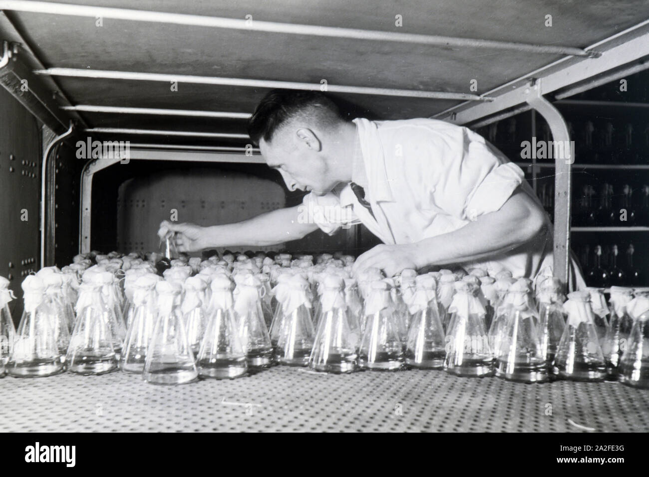 Ein Laborant sortiert abgefüllte Medikamentenproben in einem Labor der Behringwerke, Marburg, Deutschland 1930er Jahre. A lab assistant is arranging bottled medicine samples in a lab of the Behringwerke, Marburg, Germany 1930s. Stock Photo