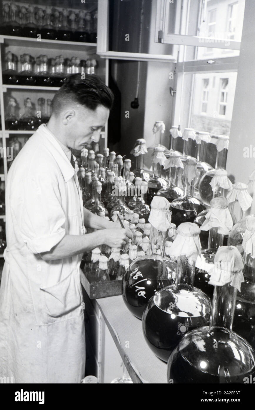 Ein Laborant beschriftet abgefüllte Medikamentenproben in einem Labor der Behringwerke, Marburg, Deutschland 1930er Jahre. A lab assistant is labeling bottled medicine samples in a lab of the Behringwerke, Marburg, Germany 1930s. Stock Photo