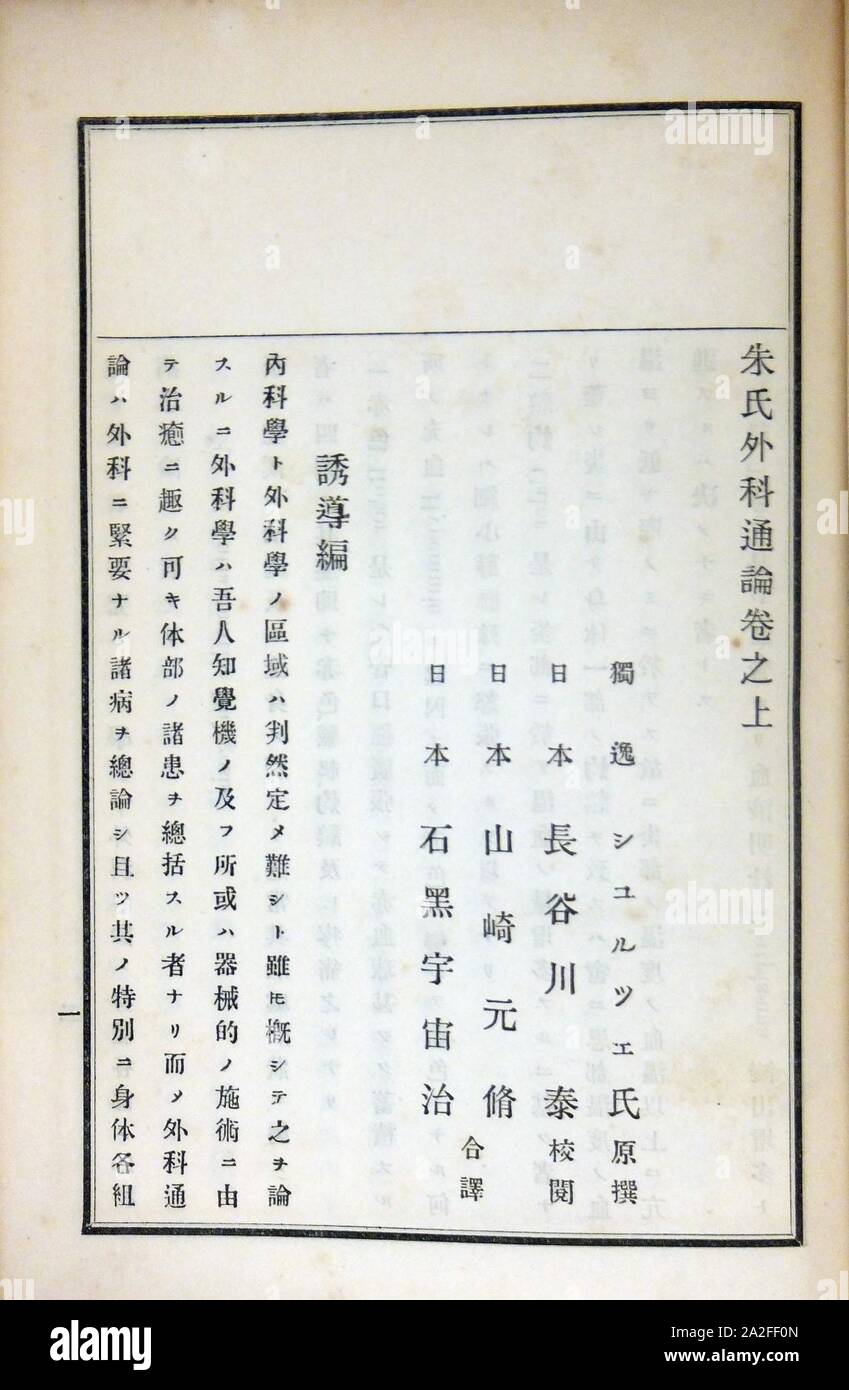 Emil August Wilhelm SchultzeSurgery1884vol1 Stock Photo Alamy