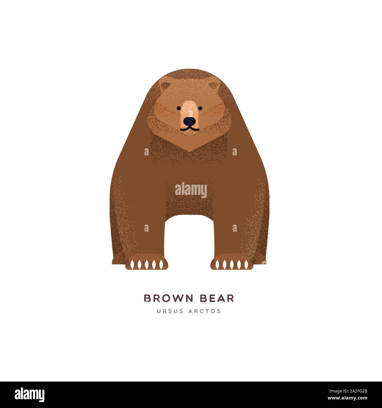 Brown bear animal illustration on isolated white background. Educational wildlife design with fauna species name label. Stock Vector