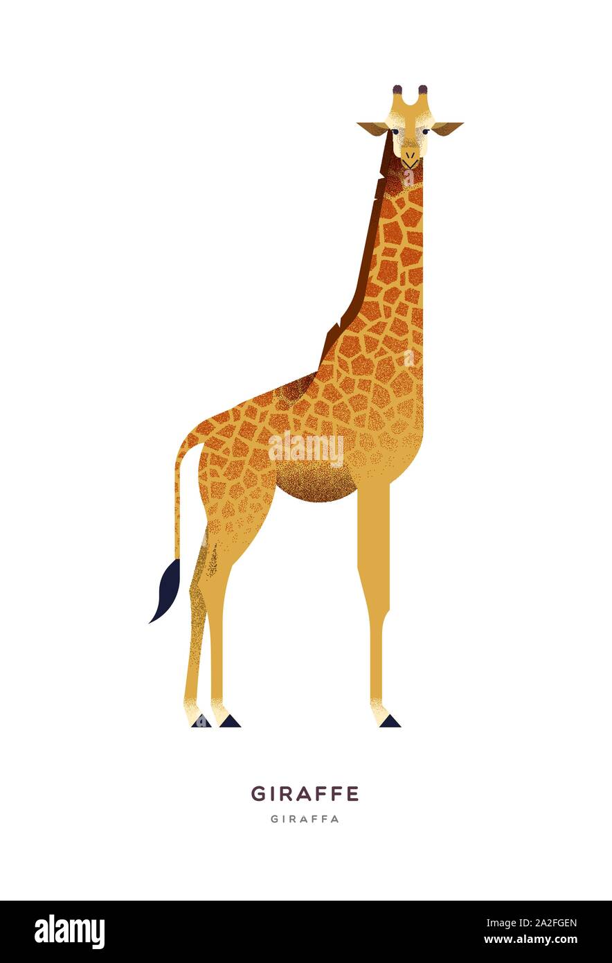 African giraffe illustration on isolated white background, zoo or safari animal concept. Educational wildlife design with fauna species name label. Stock Vector