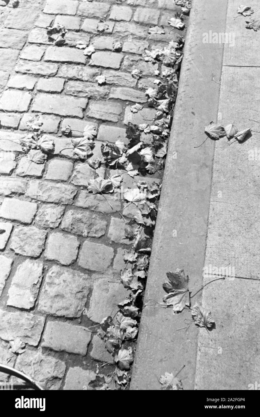 Die idyllische Aufnahme einer mit Laub bedeckten Pflastersteinstraße in Bruchsal, Deutschland 1930er Jahre. The idyllic view of a  paving stone street covered with leaves in Bruchsal, Germany 1930s. Stock Photo