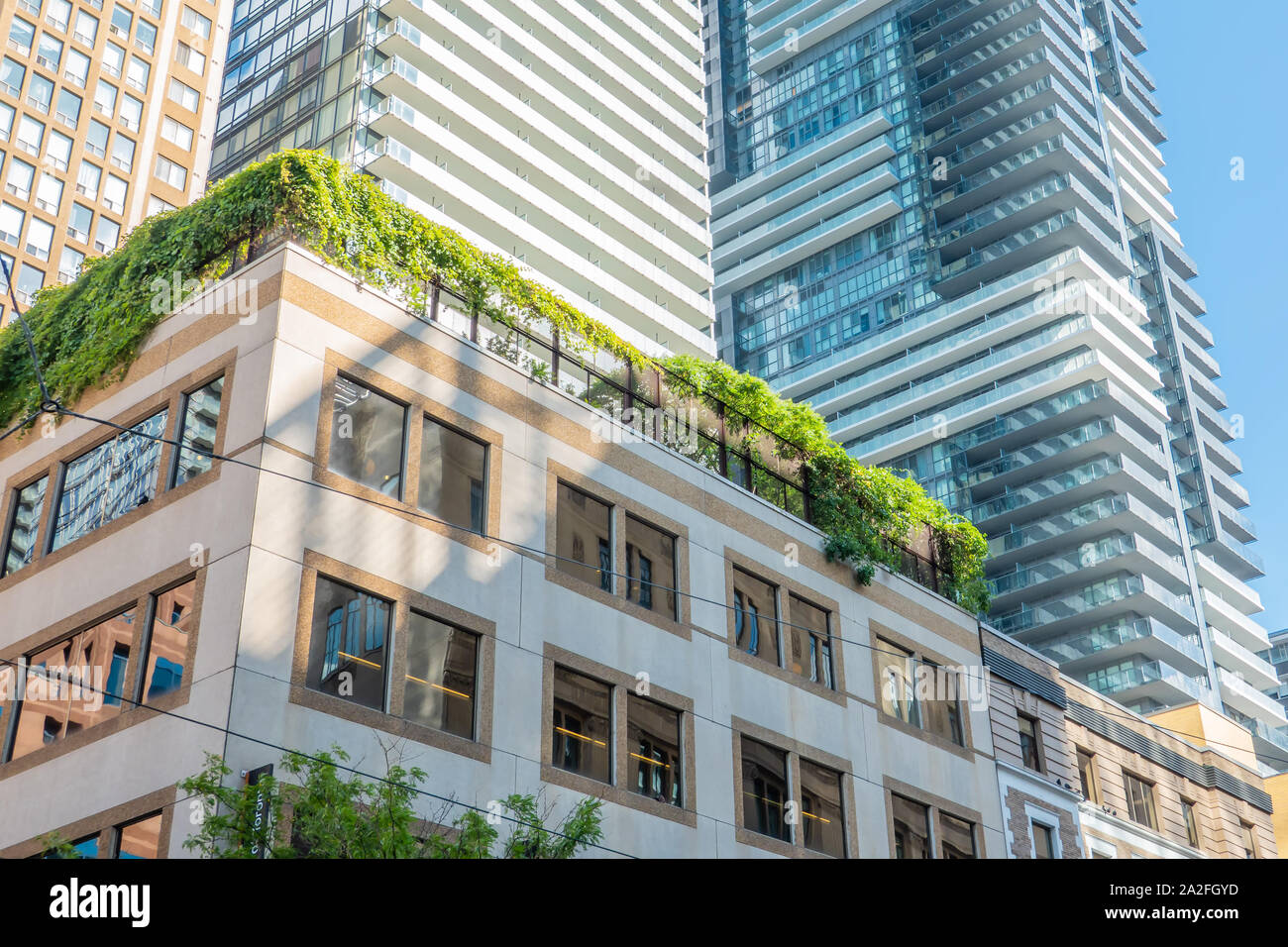 Beautiful green space on the rooftop of a modern condominium in Toronto Ontario helps improve air quality in the city. Stock Photo