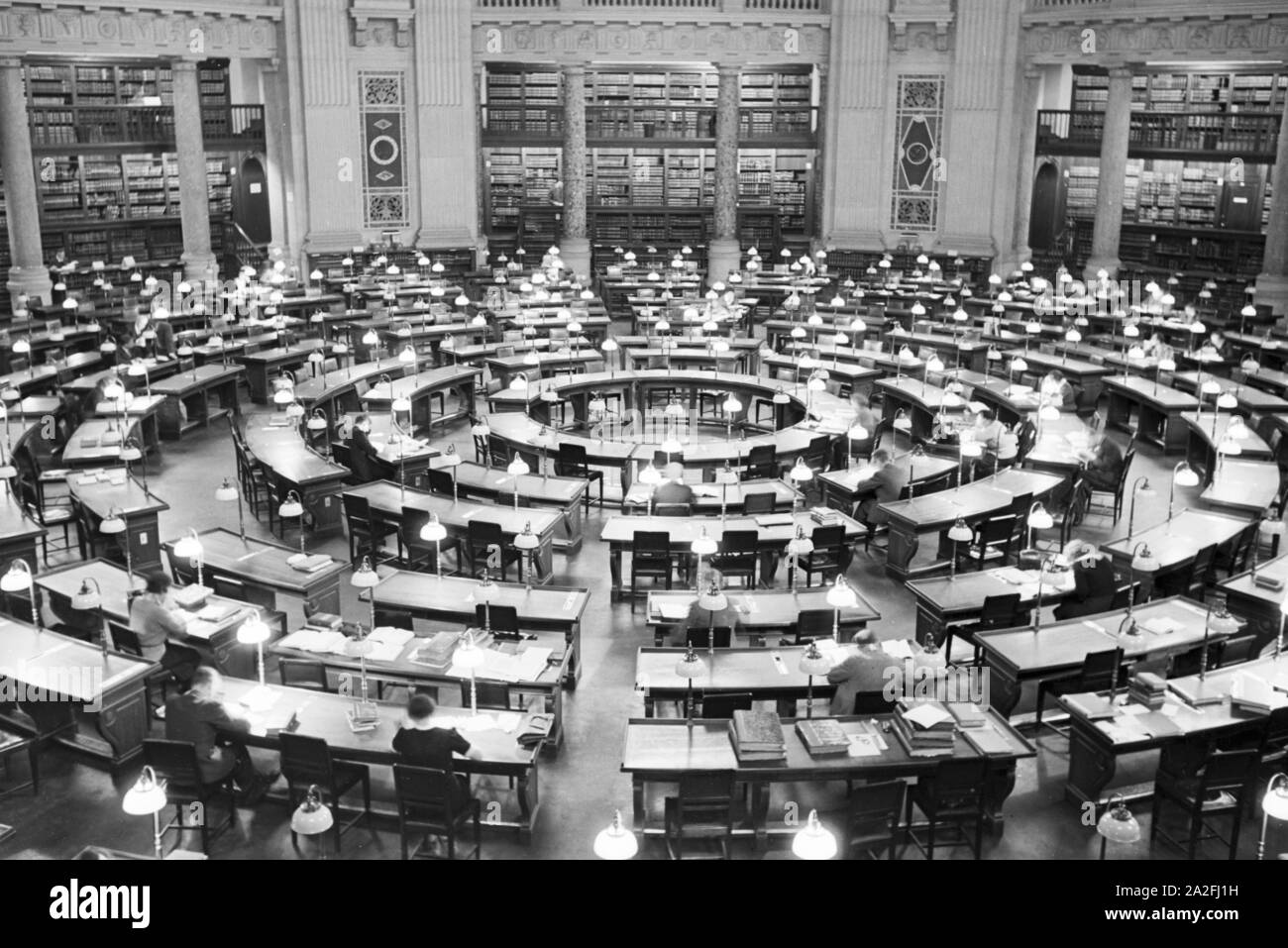 Unter Den Linden Black And White Stock Photos Images Alamy