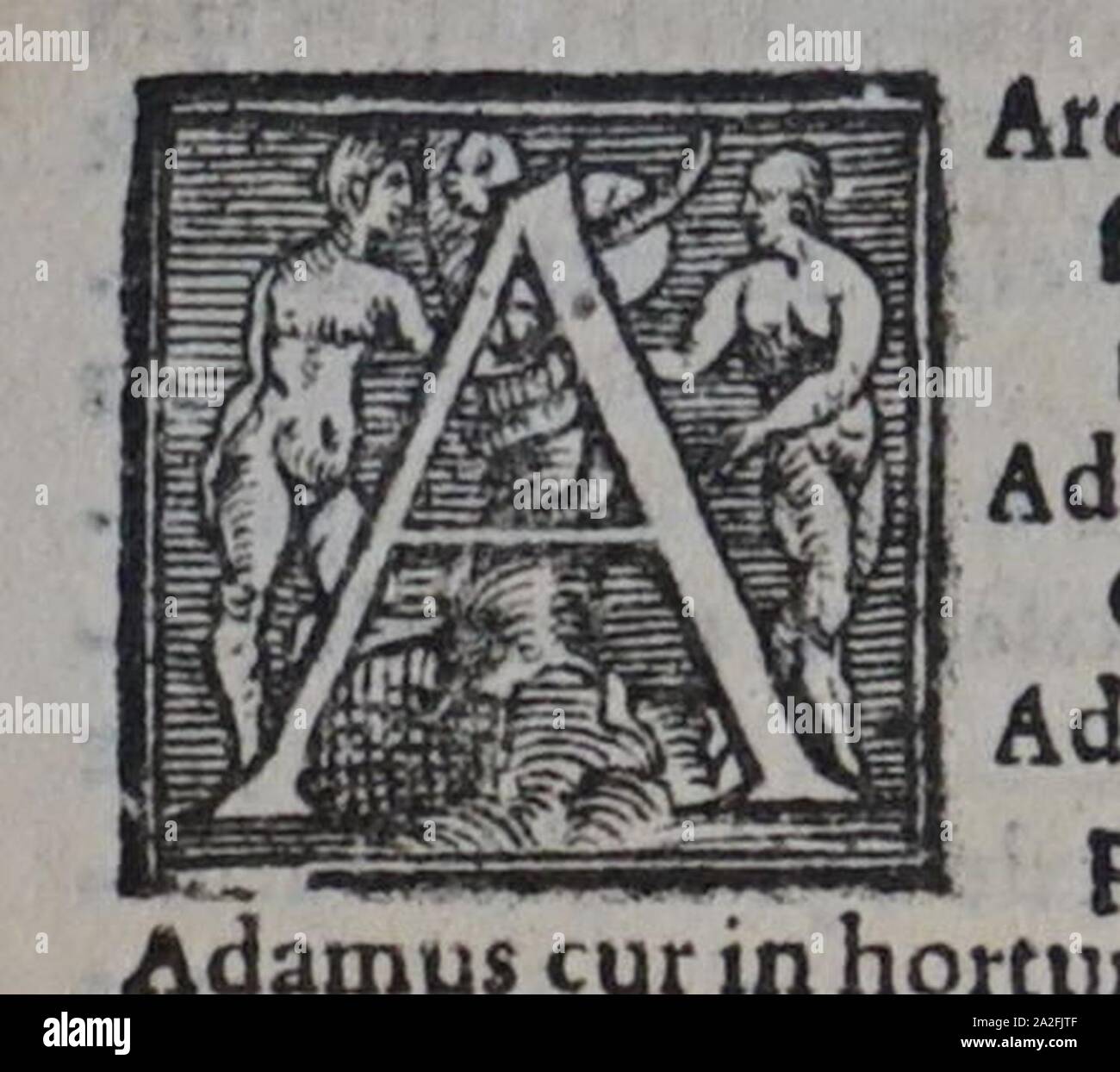 Maximi hires stock photography and images Alamy