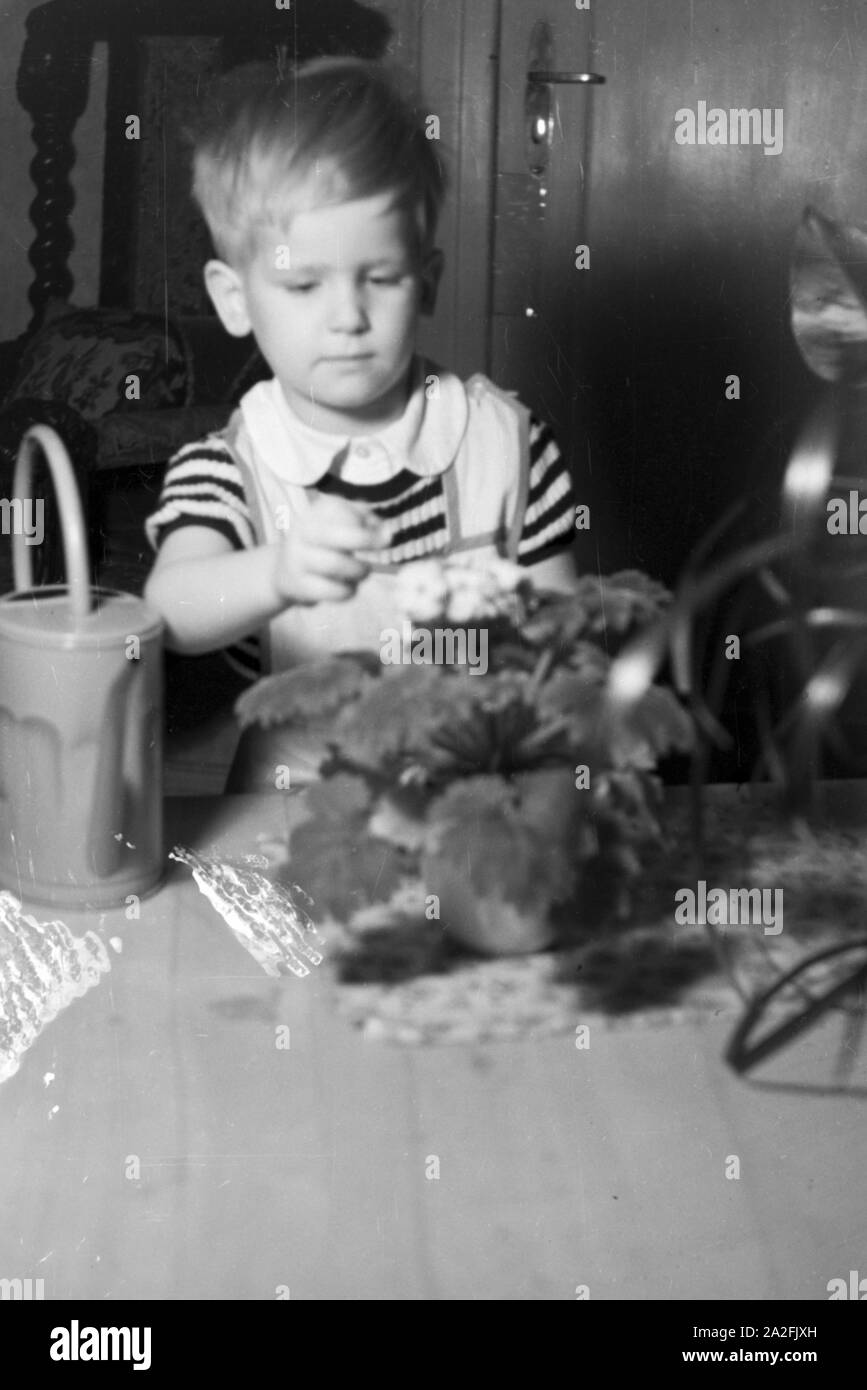 Ein kleiner Junge gießt die Blumen, Deutschland 1930er Jahre. A little boy watering the flowers, Germany 1930s. Stock Photo