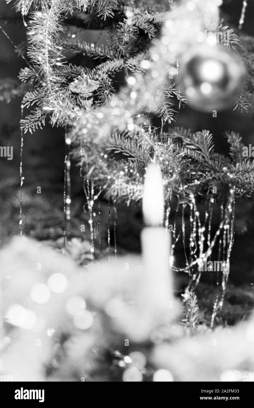 Blick auf die Kerzen im Weihnachtsbaum, Deutschland 1930er Jahre. View to the candels on a christmas tree, Germany 1930s. Stock Photo