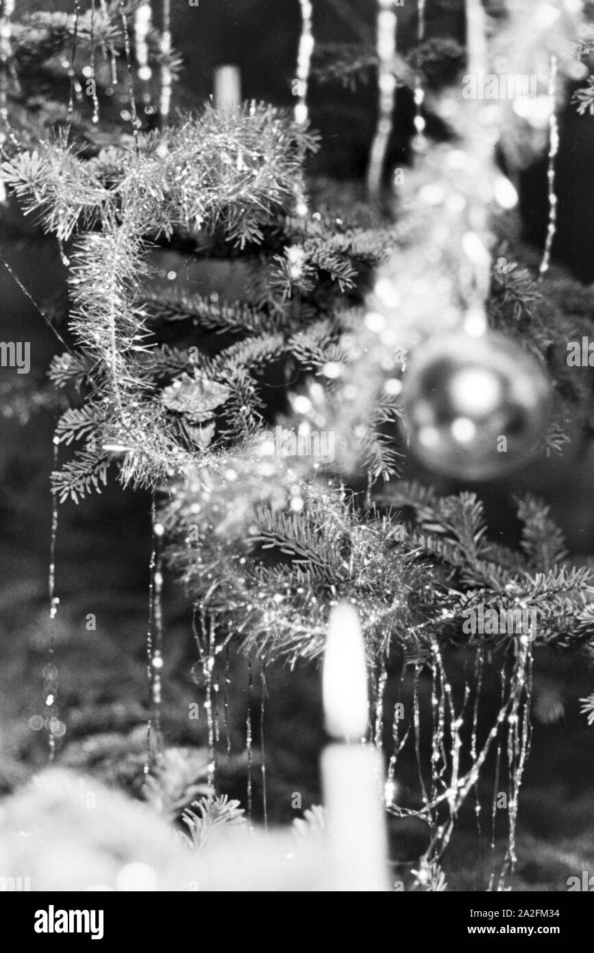 Blick auf die Kerzen im Weihnachtsbaum, Deutschland 1930er Jahre. View to the candels on a christmas tree, Germany 1930s. Stock Photo