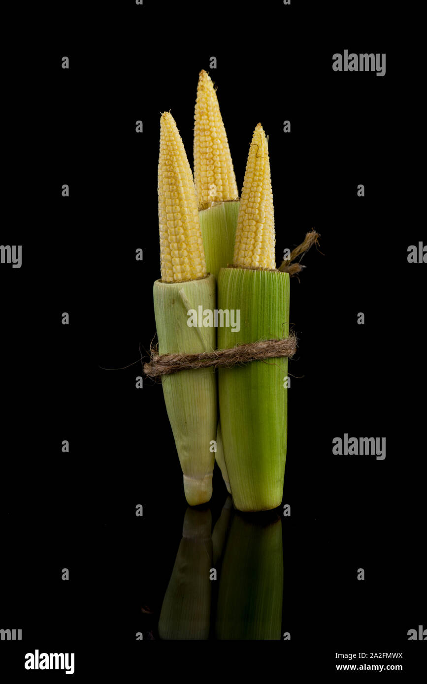 Young raw baby corn isolated on black background with small reflection ...