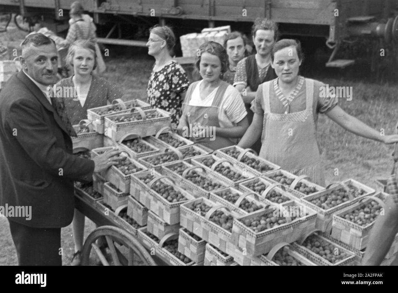 Farm harvest 1930s hi-res stock photography and images - Alamy
