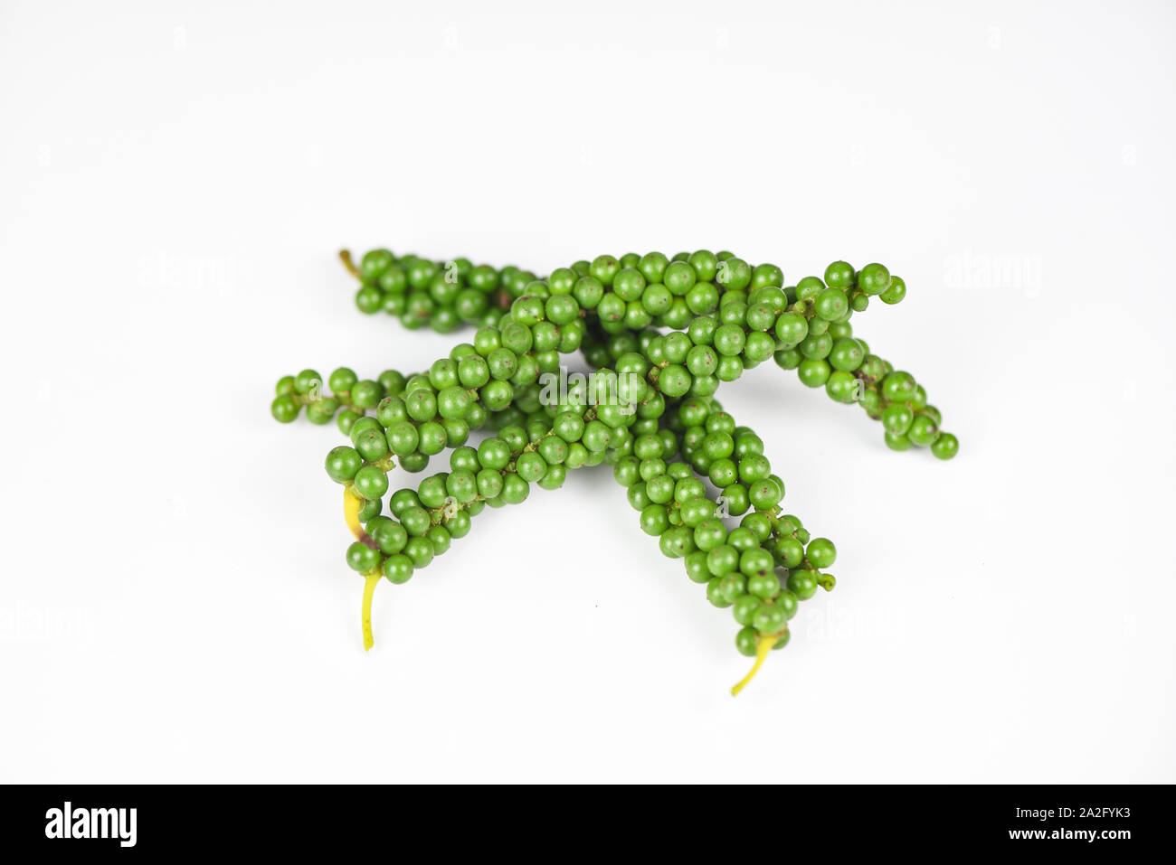 peppercorns isolated on white background / fresh green peppercorn seed for ingredients cuisine