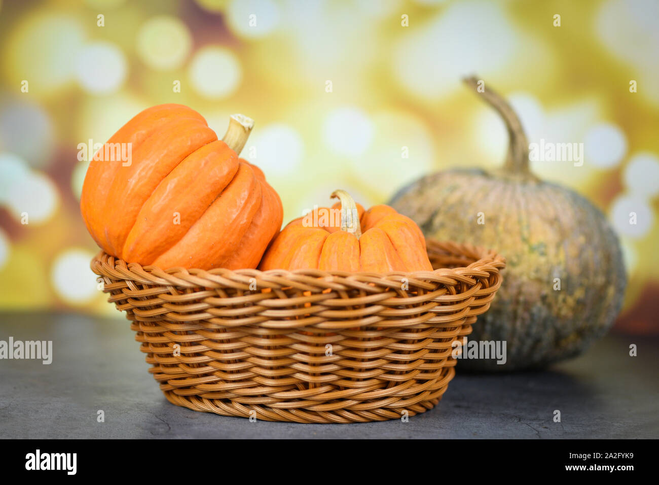 Pumpkin In The Basket Pumpkin Decorate Holiday Season Autumn