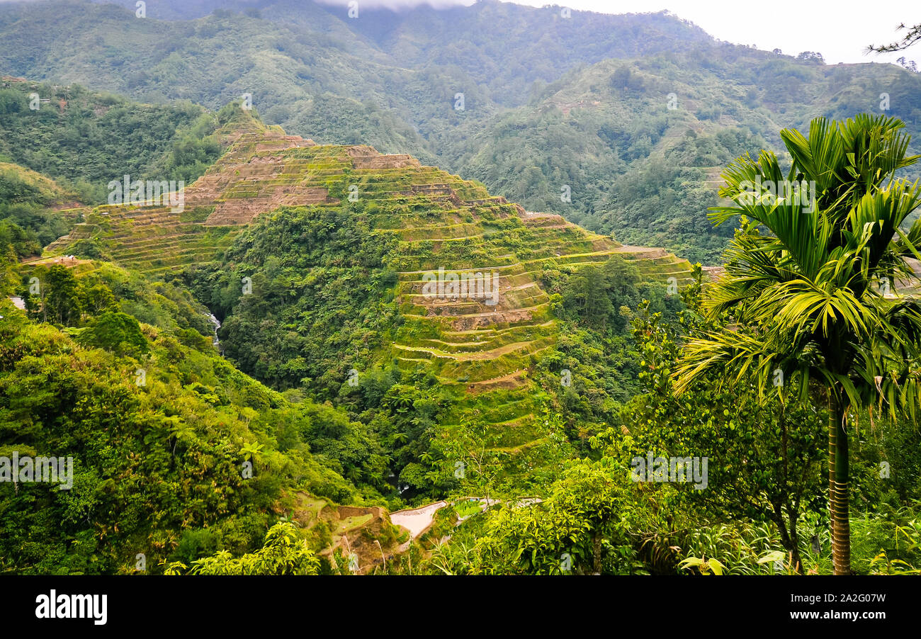 Rice Terraces - Banaue, Ifugao, Philippines Stock Photo