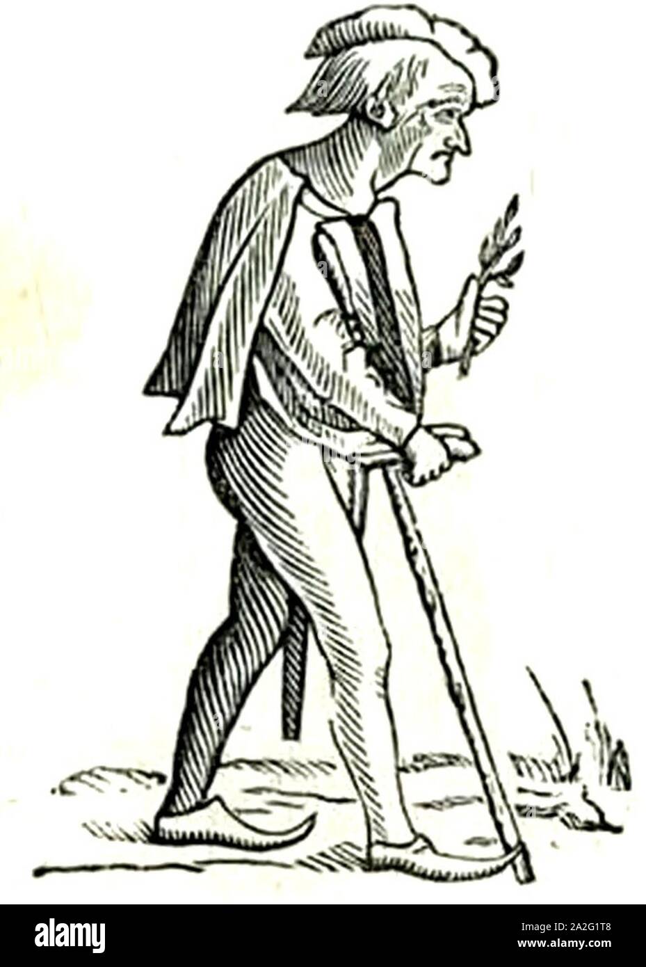 Elogio della pazzia 073 Stock Photo Alamy