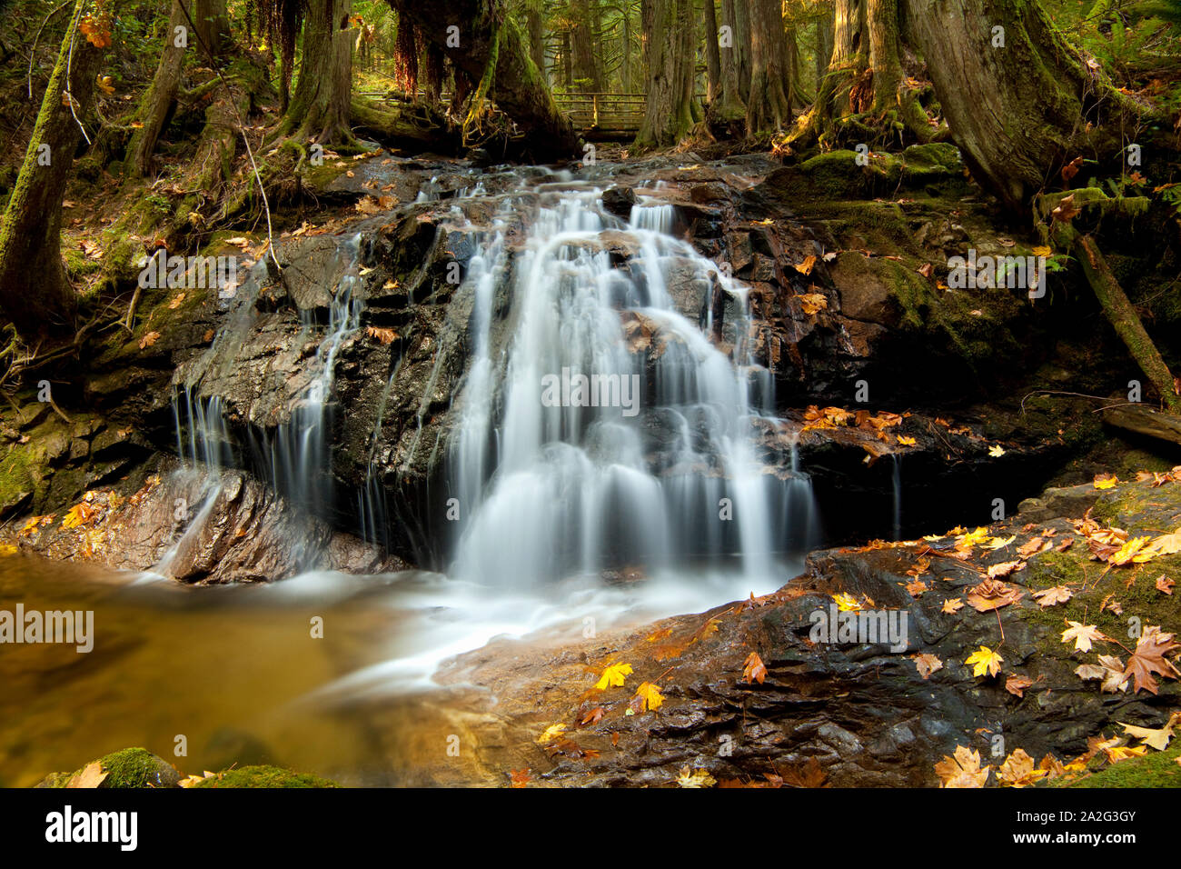 Waterfall in Cliff Gilford Park, Roberts Creek, BC Stock Photo