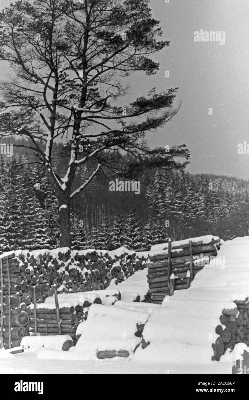 Ein zugeschneiter Stapel Brennholz vor einem Baum, Deutschland 1930er Jahre. A snowed in pile of firewood in front of a tree, Germany 1930s. Stock Photo