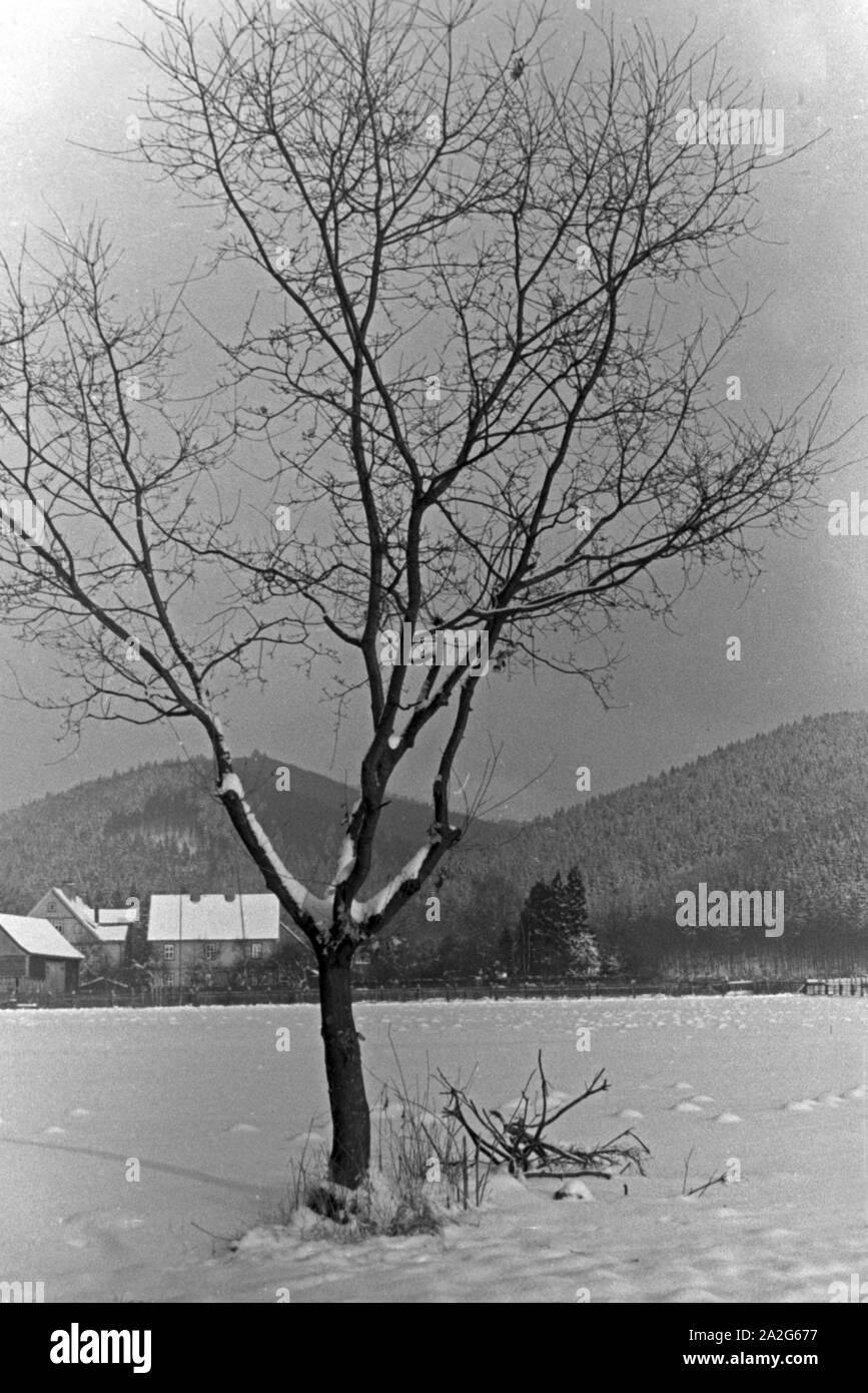 Ein einzelner Baum auf einer eingeschneiten Ebene mit Häusern und Hügeln im Hintergrund, Deutschland 1930er Jahre. A single tree on a snowed in plain with houses and hills in the background, Germany 1930s. Stock Photo