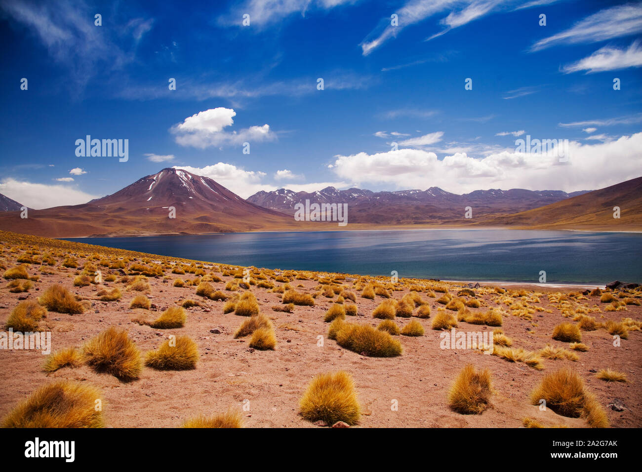 Landscape and grasses at Aguas Calientes Lagoon, Atacama Desert. Stock Photo