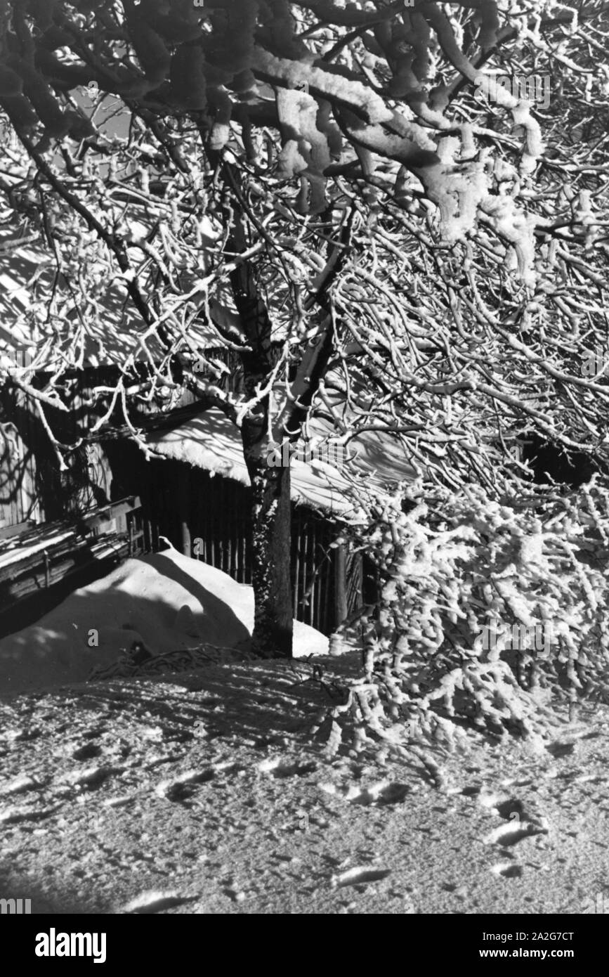 Blick in das verschneite Städtchen Oberhof in Thüringen, Deutschland 1930er Jahre. View to the snowed in town of Oberhof in Thuringia, Germany 1930s. Stock Photo