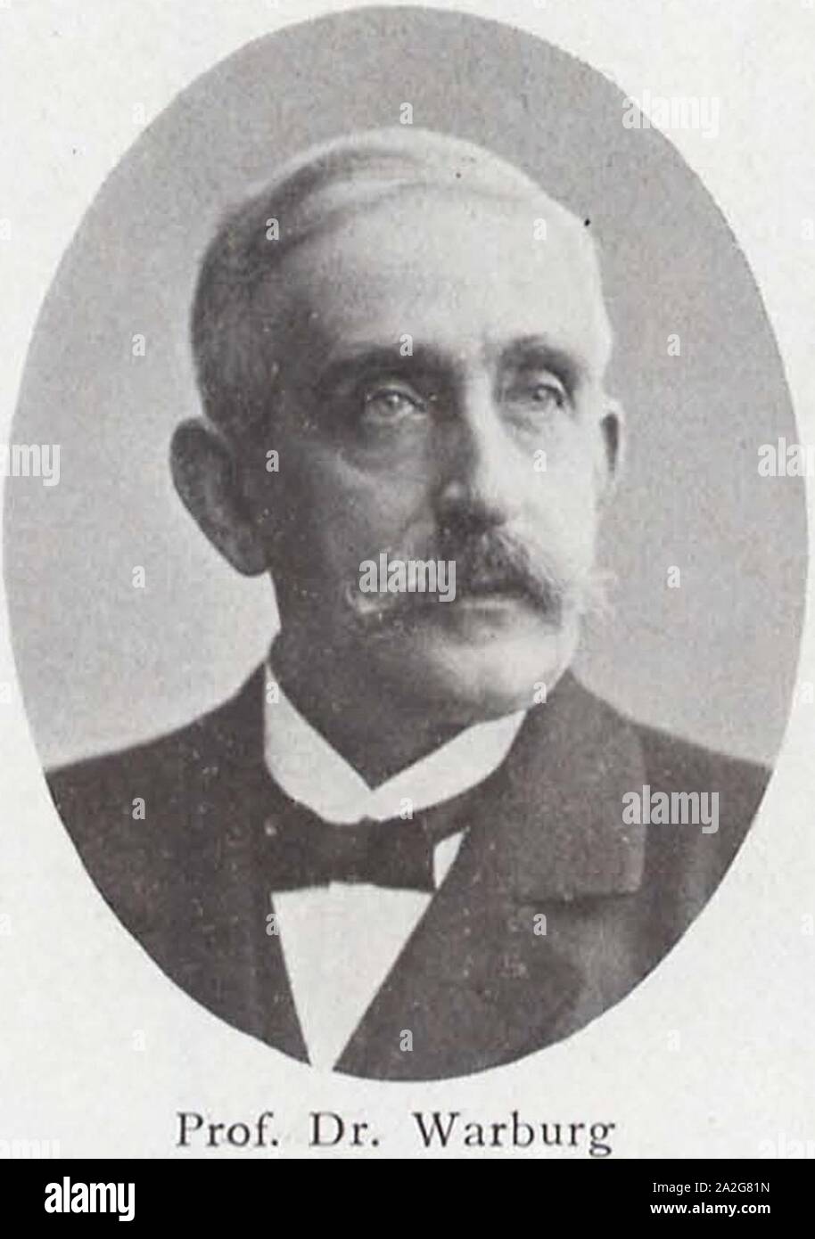 Emil Warburg (BerlLeben 190002 Stock Photo Alamy
