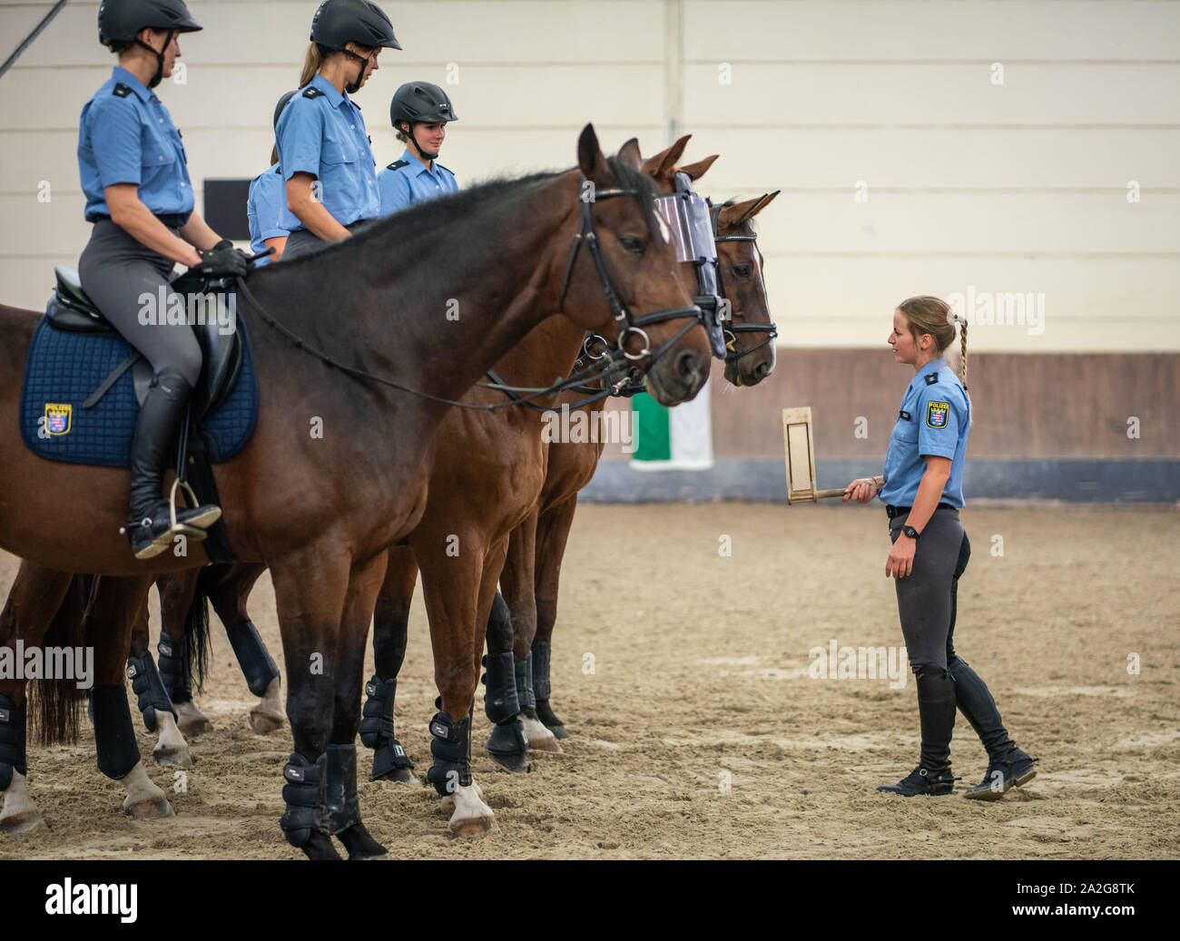 27 September 2019, Hessen, Frankfurt/Main: Police Superintendent Stefanie Richter (29, r) of the Hesse Police Riding Team turns the particularly loud ratchet while training the horses in the indoor riding arena. The animals are accustomed from the outset to reacting calmly to unusual events of an optical or acoustic nature. (to dpa 'Police horses are often 'last resort when it gets tight'' from 03.10.2019) Photo: Frank Rumpenhorst/dpa Stock Photo