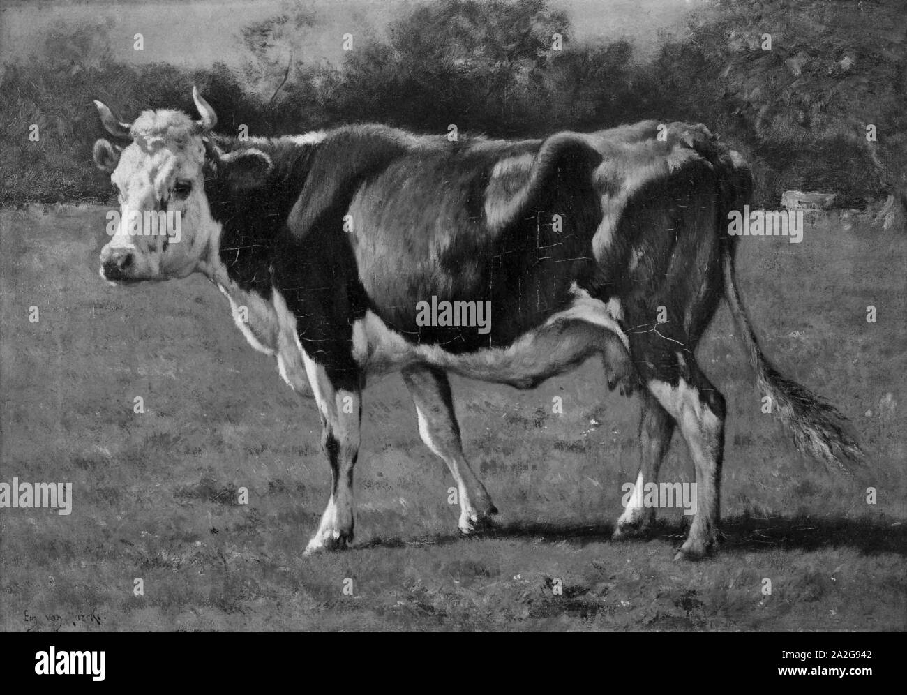 Emile van Marcke de Lummen - Study of a Cow Stock Photo