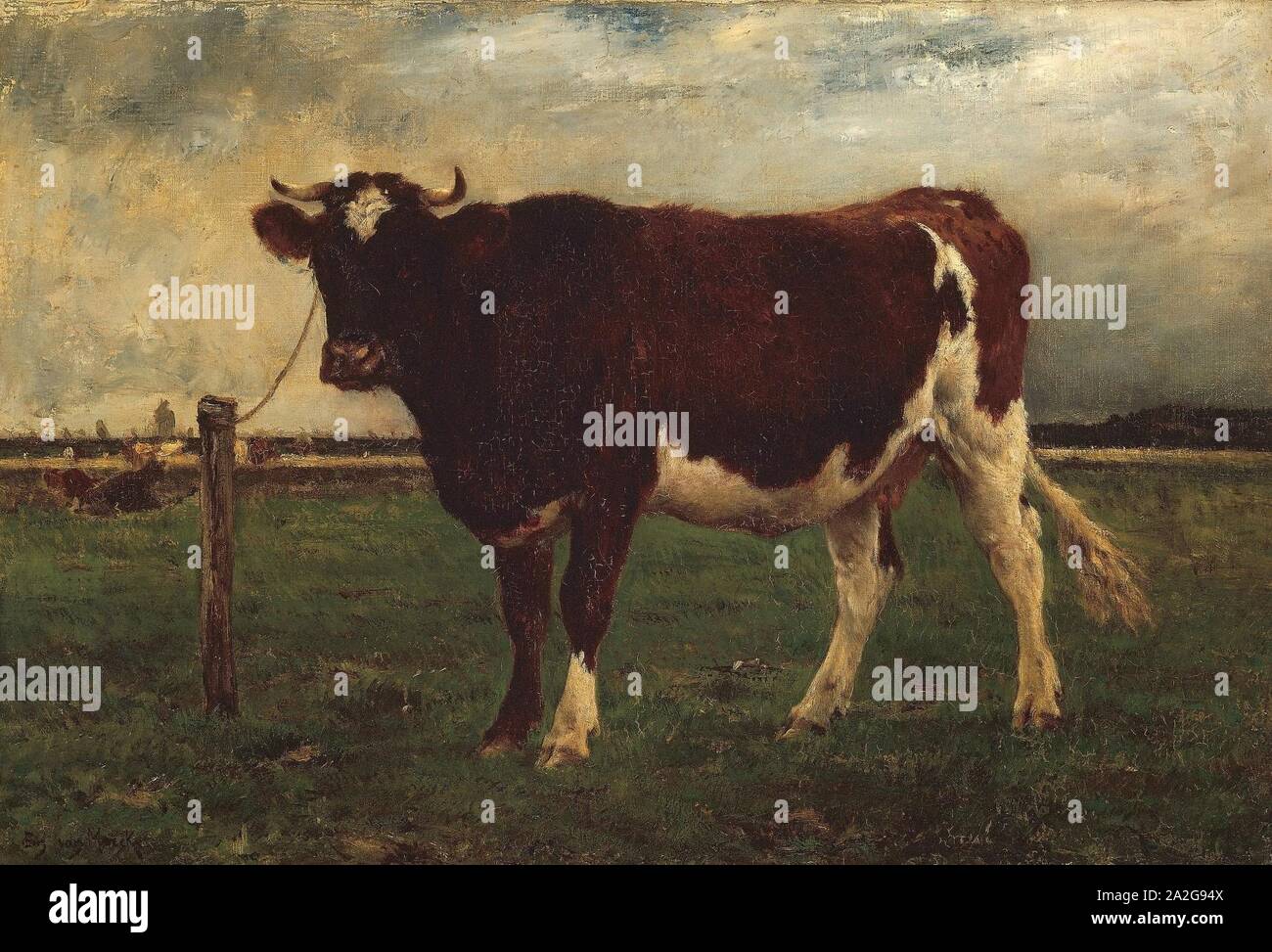 Emile van Marcke de Lummen - Study of a Cow Stock Photo
