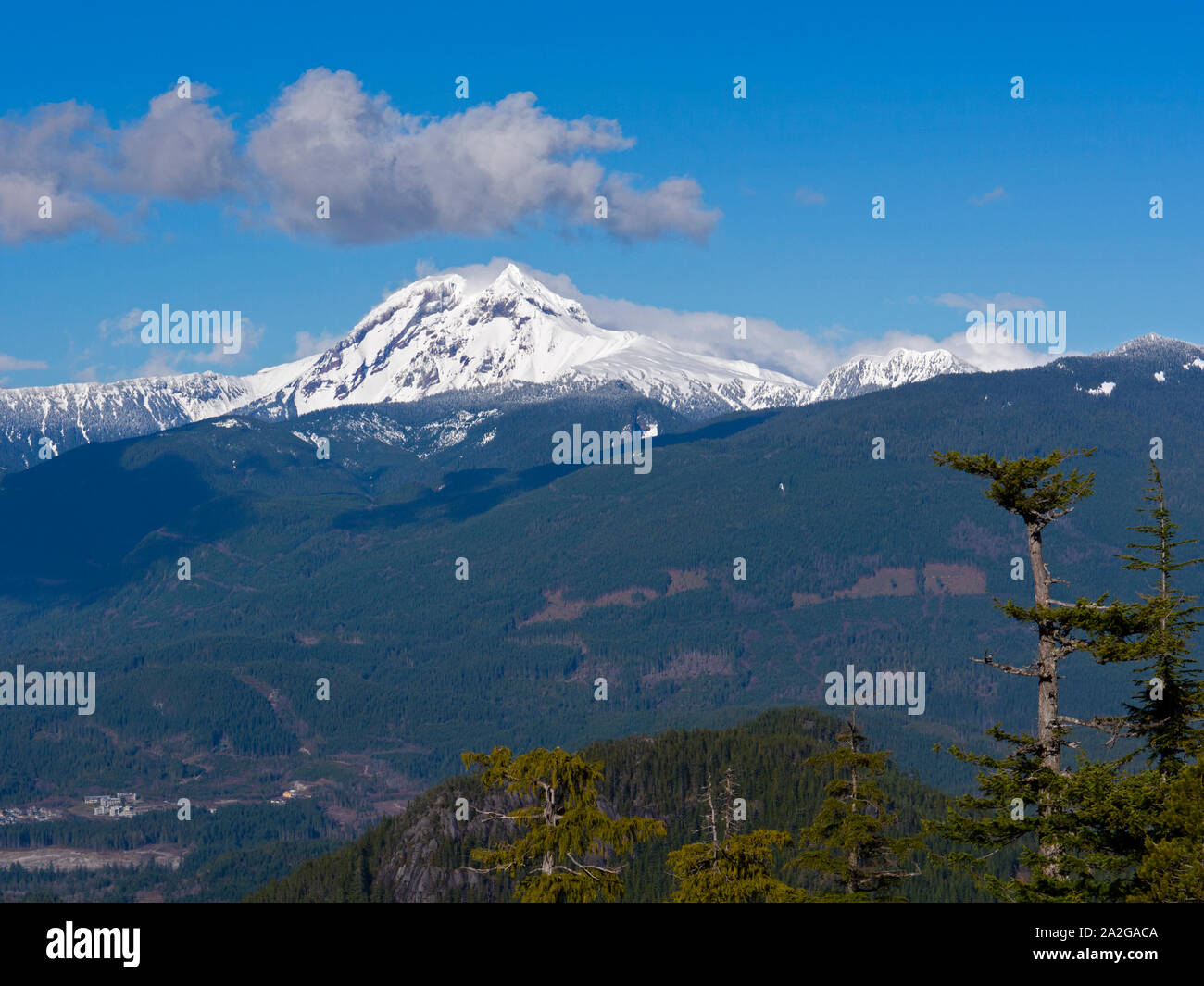 Mount Garibaldi from the Chief overlook at the summit of the Sea to Sky Gondola Stock Photo