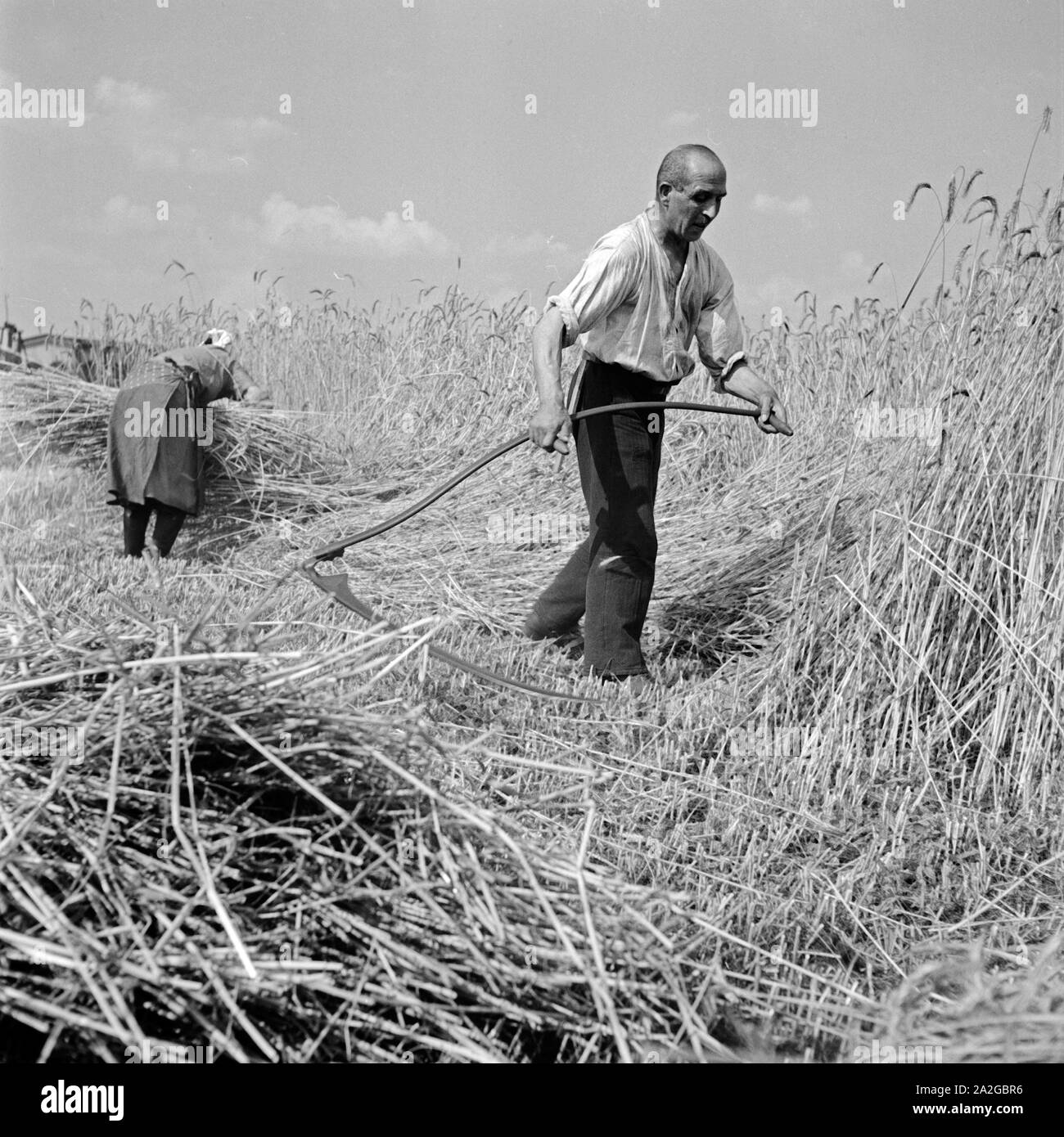 Bauernfamilie bei der Getreideernte, Deutschland 1930er Jahre. Farmer family harvesting grain, Germany 1930s. Stock Photo