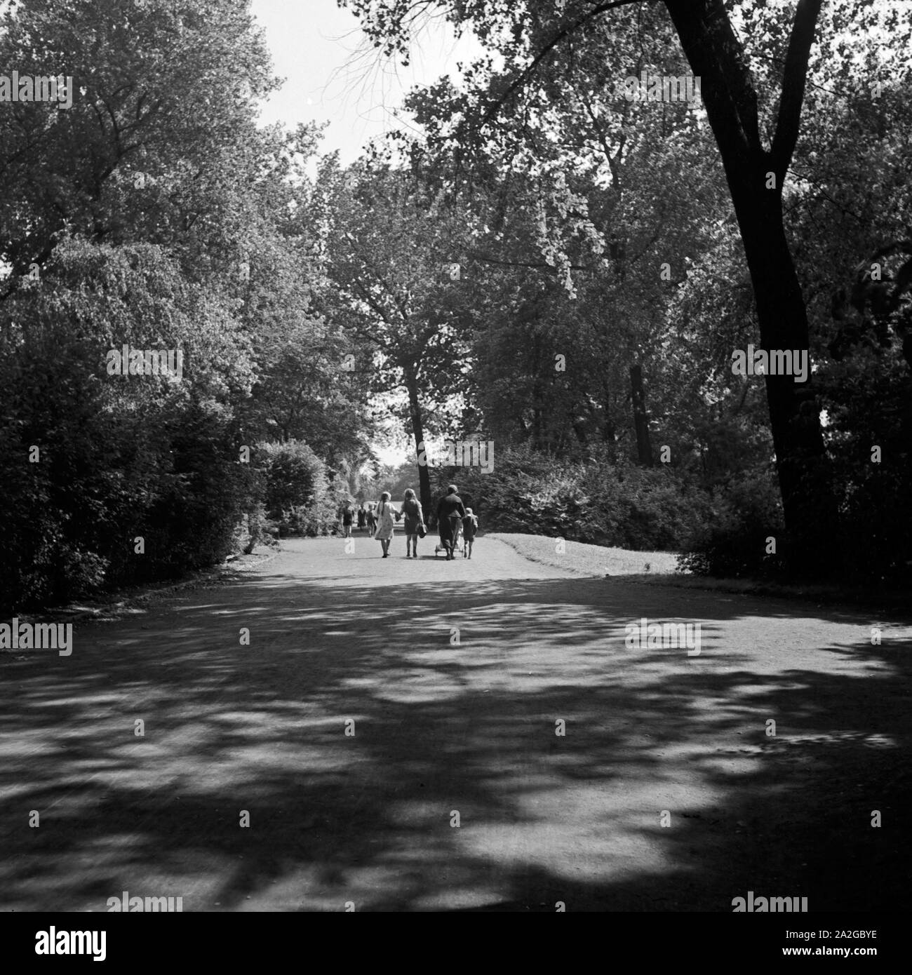 Spaziergang durch einen Park in Gelsenkirchen, Deutschland 1930er Jahre. Strolling through a park at Gelsenkirchen, Germany 1930s. Stock Photo