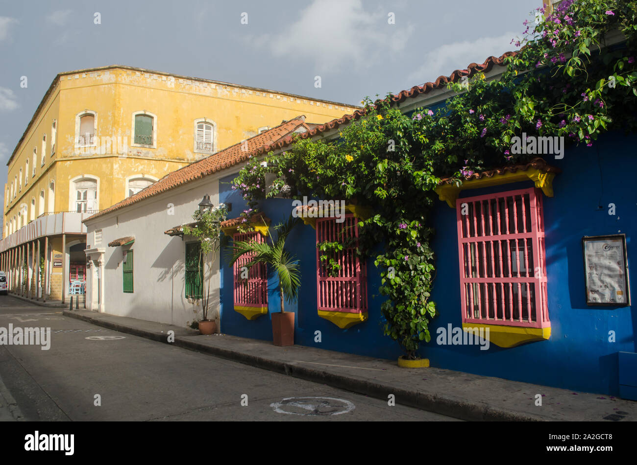 Two colorful windows and a lush vine decore a the facade of an old house in the Walled City of Cartagena Stock Photo
