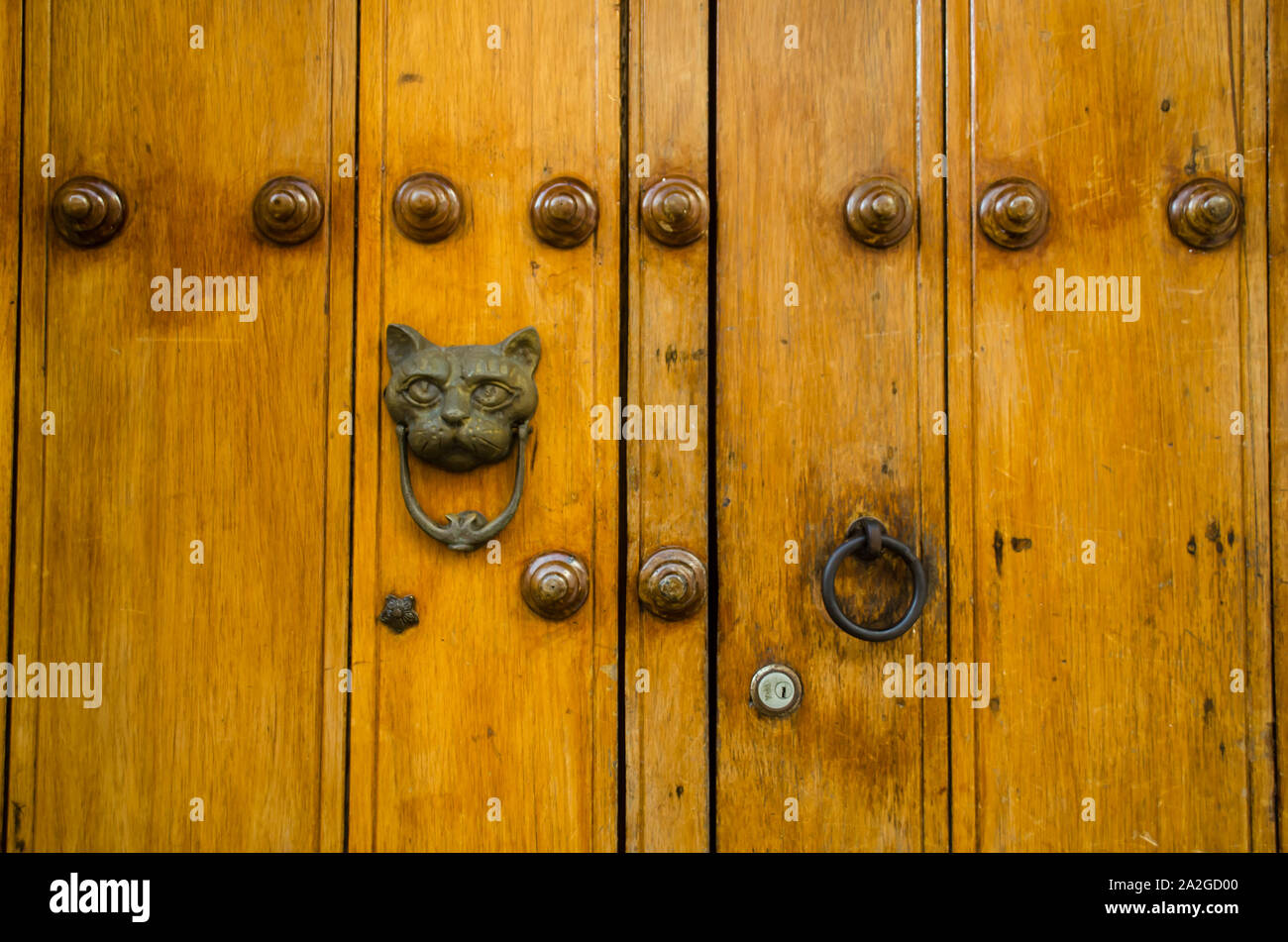 Detail of a door with a cat knocker in Cartagena Stock Photo Alamy