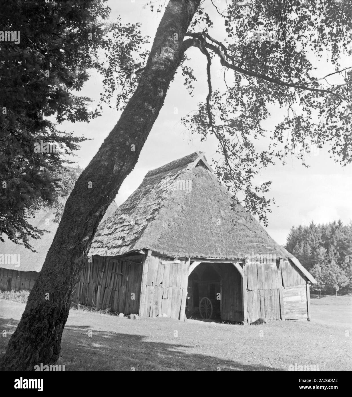 Ein alter Stall in der Heidelandschaft, Deutschland 1930er Jahre. An old stable in the heath landscape, Germany 1930s. Stock Photo