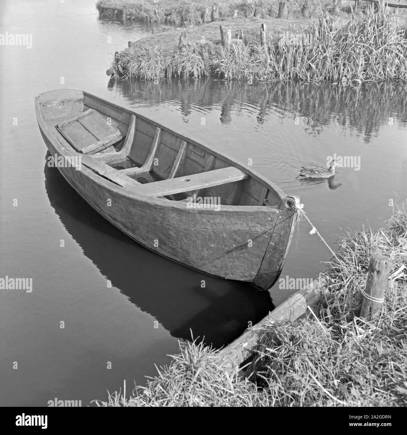 Idyll am Wasser: ein Ruderboot ankert in einem Kanal in Ostfriesland, Deutschland 1930er Jahre. Idyllic impression from East Frisia: a rowing boat dropped anchor at a canal in East Frisia, Germany 1930s. Stock Photo