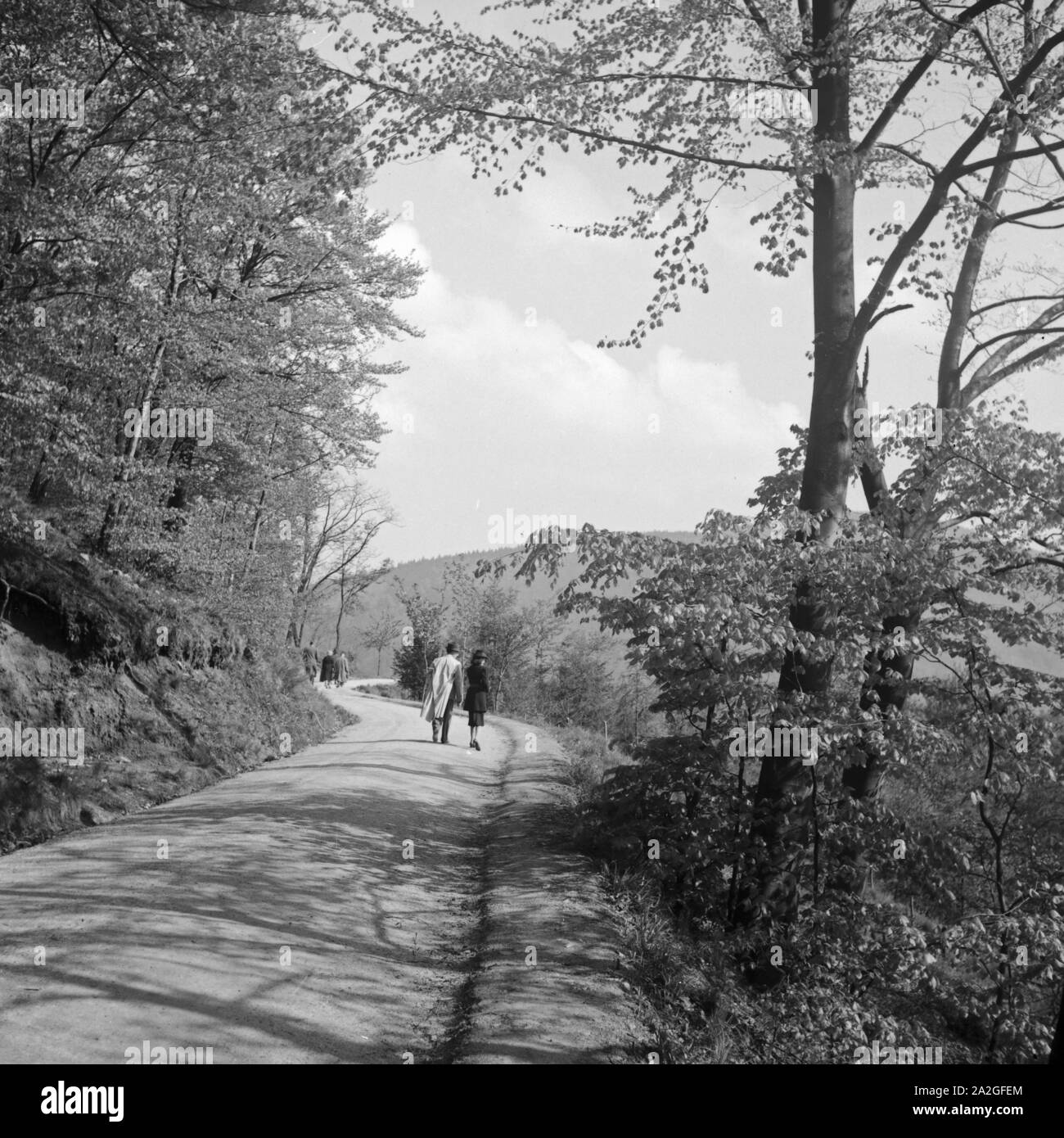Menschen gehen in einem Wald spazieren, Deutschland 1930er Jahre. People strolling at a forest, Germany 1930s. Stock Photo
